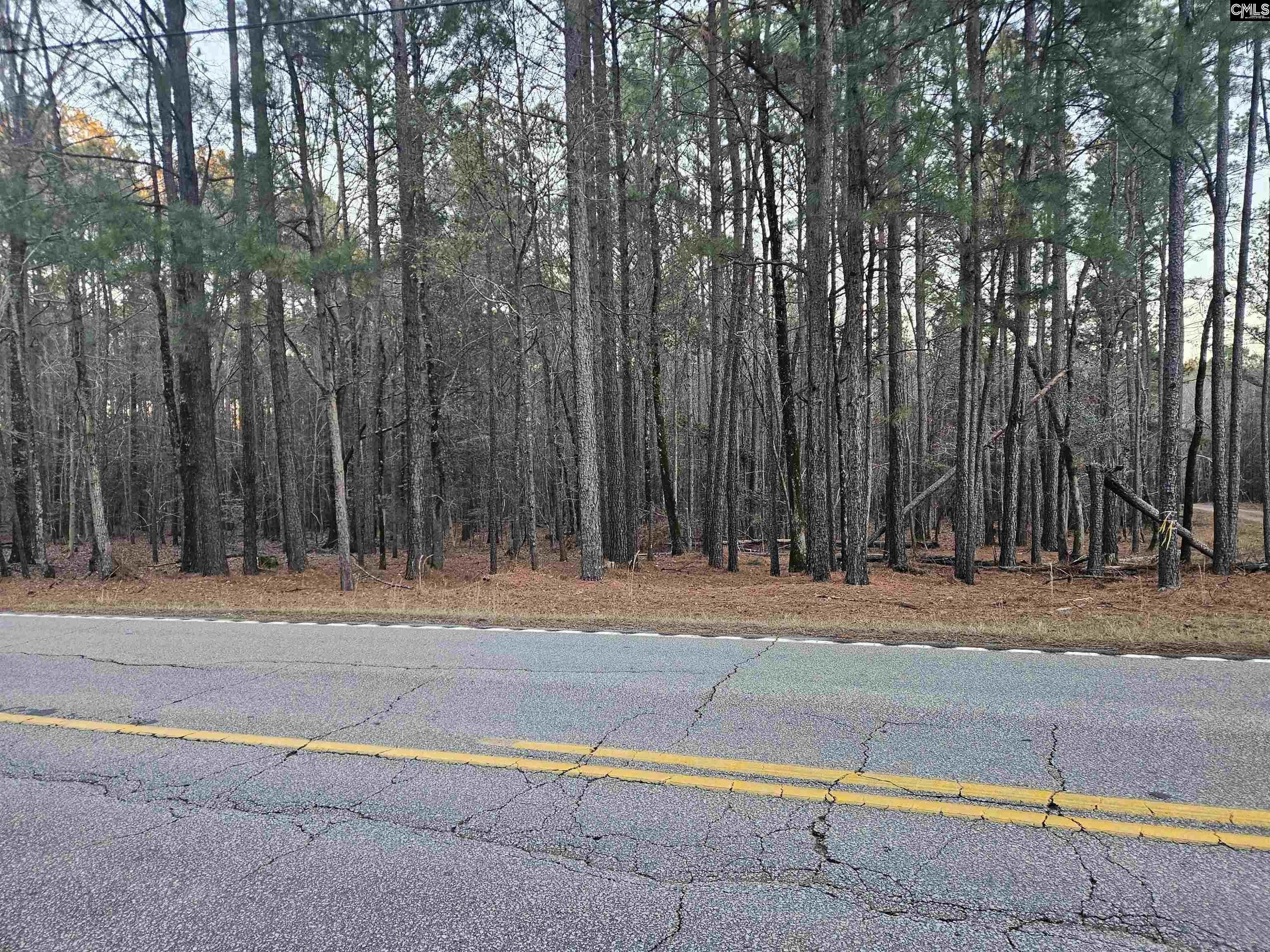 Hollands Landing Road UNIT #213 Prosperity, SC 29127
