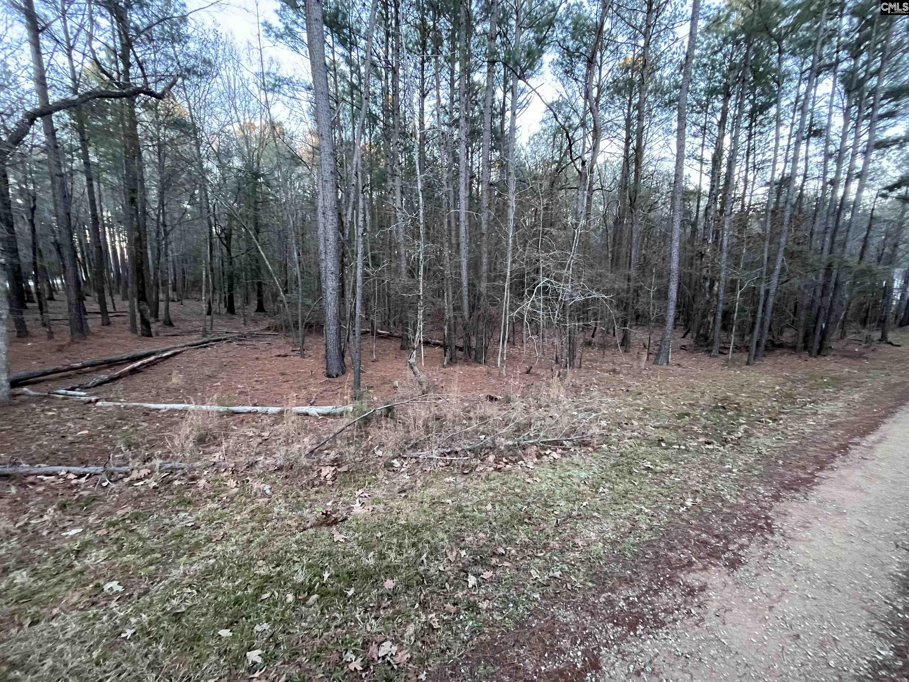 Hollands Landing Road UNIT #213 Prosperity, SC 29127