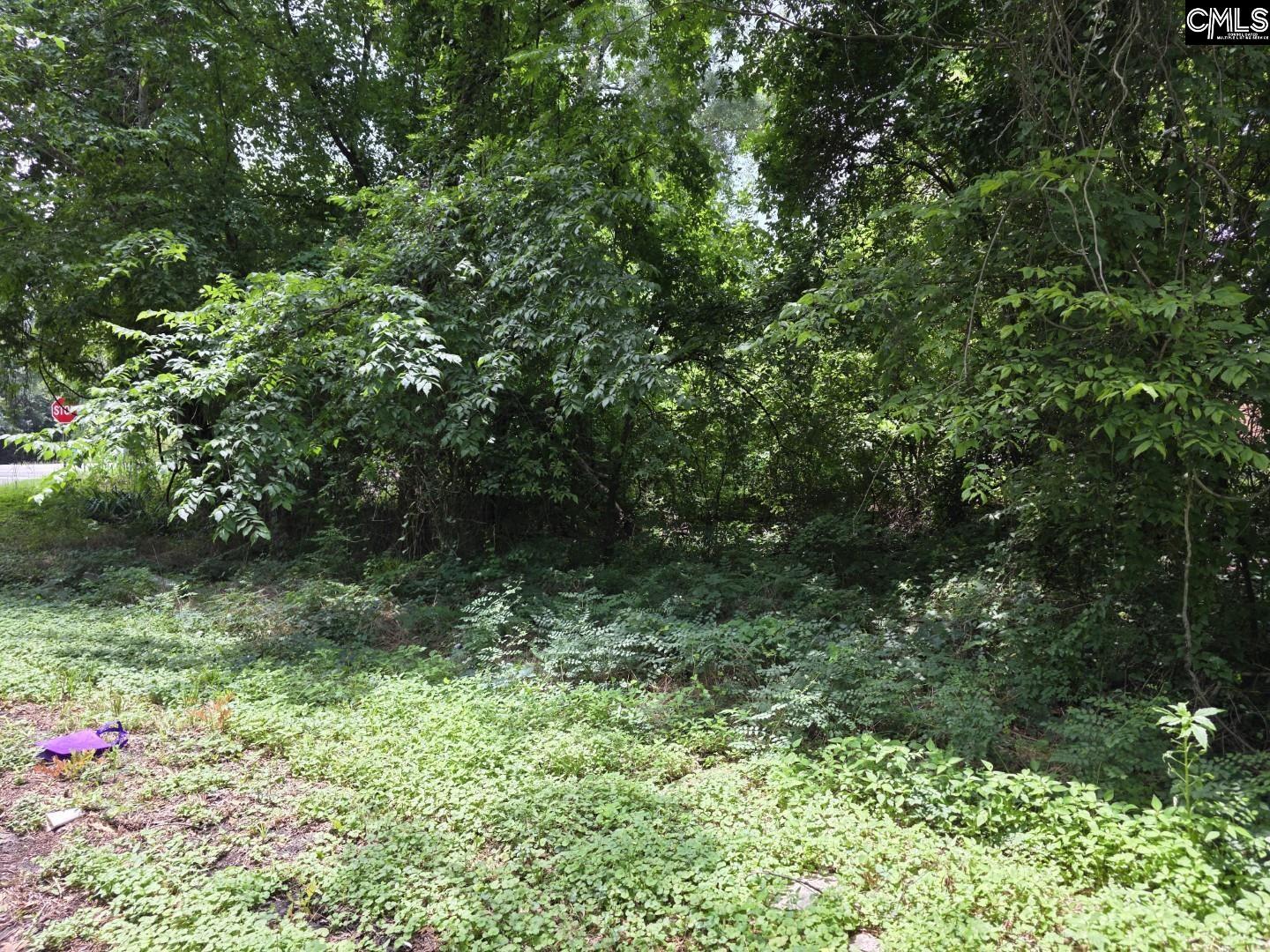 2729 Harlem Street Columbia, SC 29209