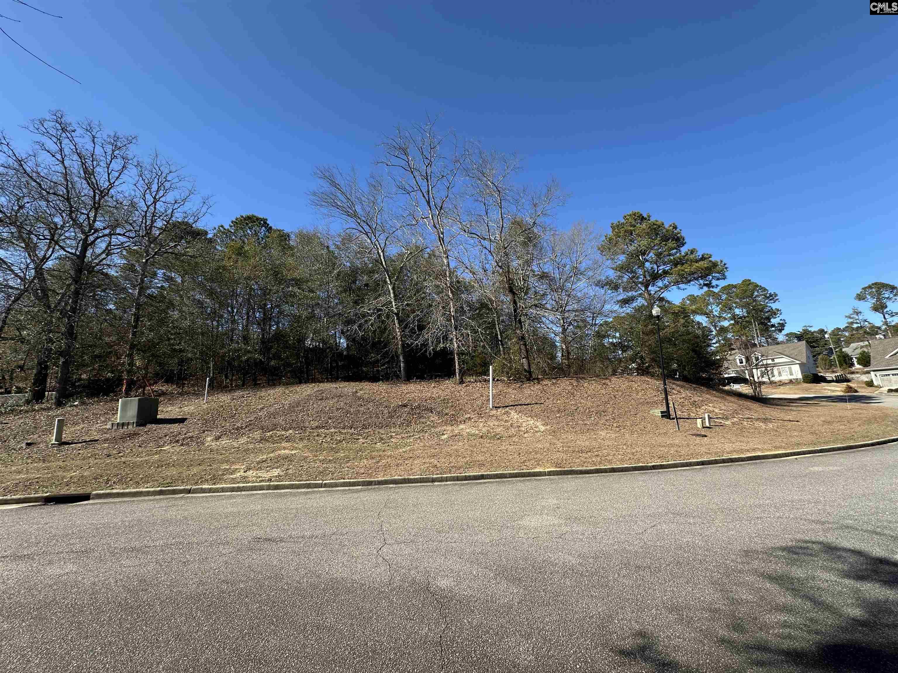 117 Mayhaw Drive UNIT #25 Columbia, SC 29206