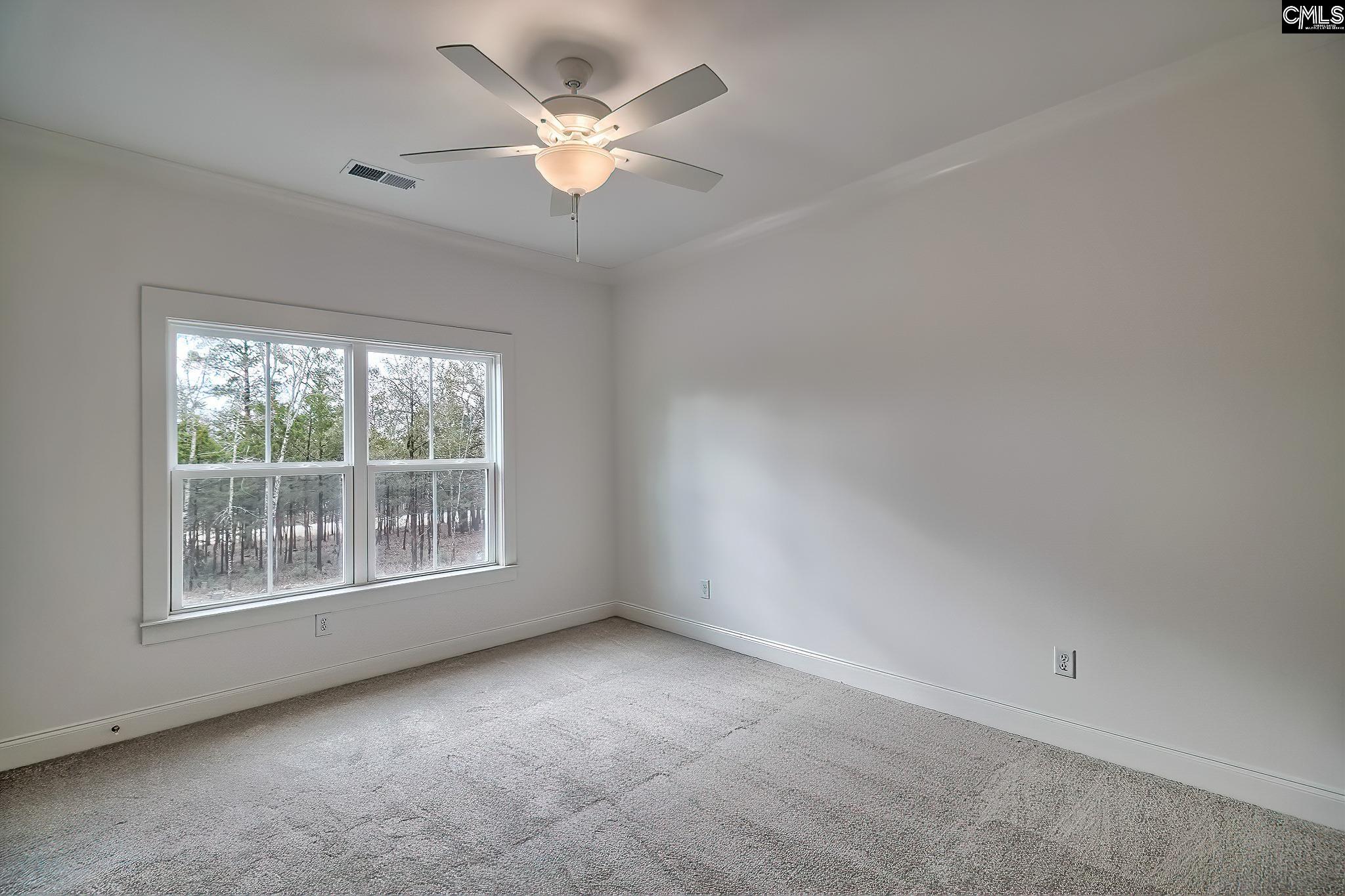 820 Elms Spinney Lane Chapin, SC 29036