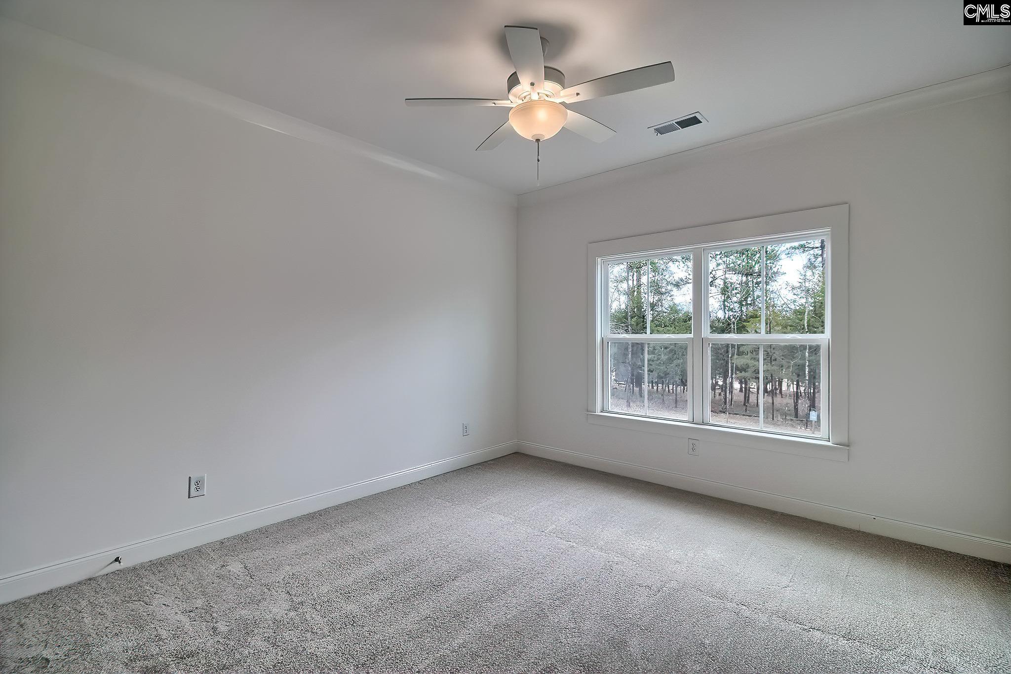 820 Elms Spinney Lane Chapin, SC 29036