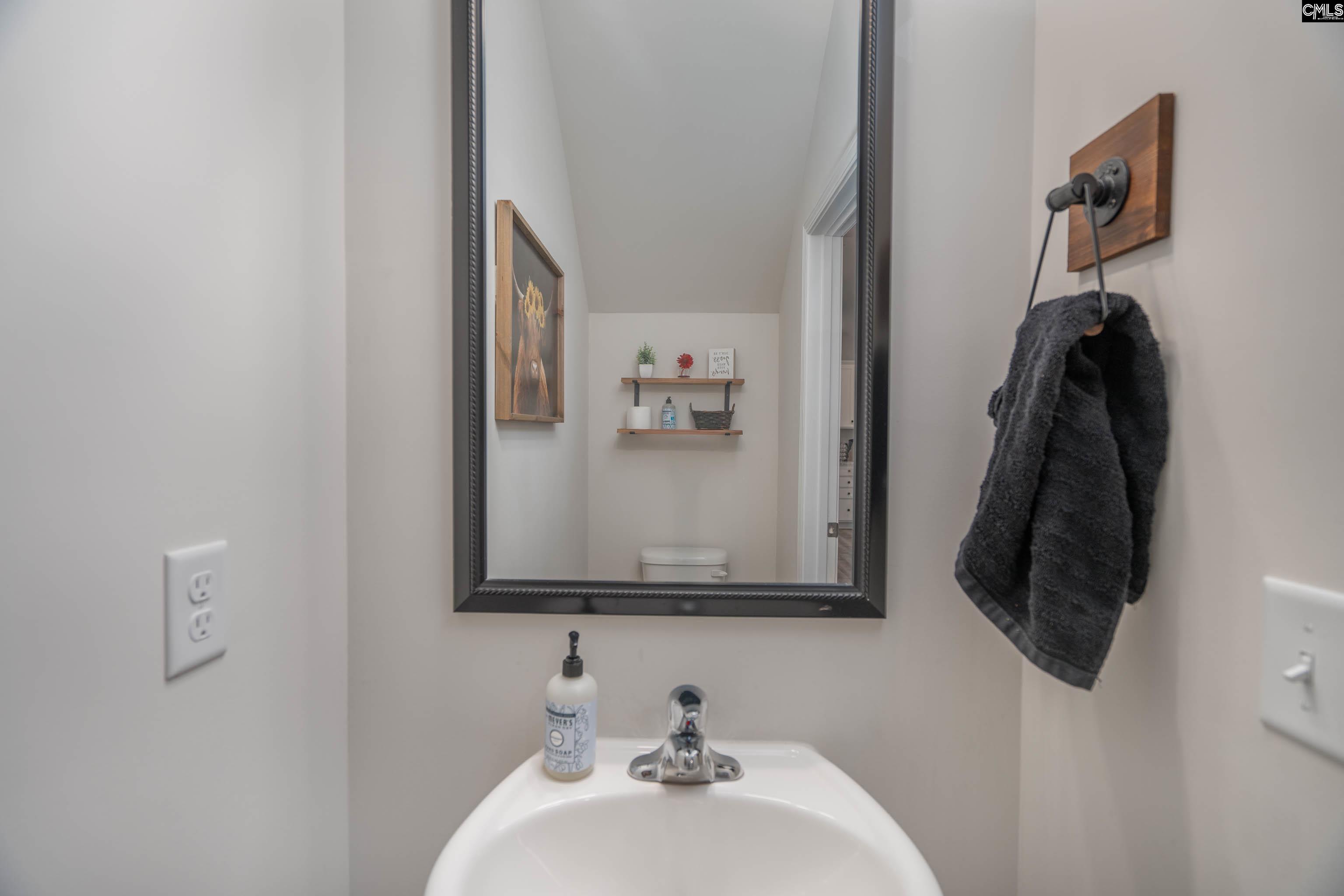 413 Blue Artesian Way Lexington, SC 29073-9828