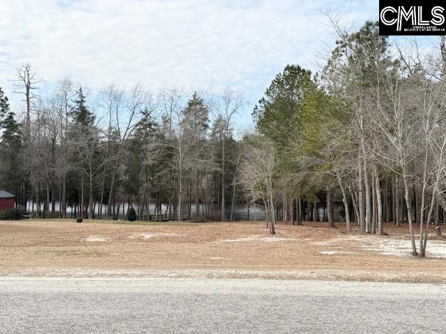 413 Blue Artesian Way Lexington, SC 29073-9828