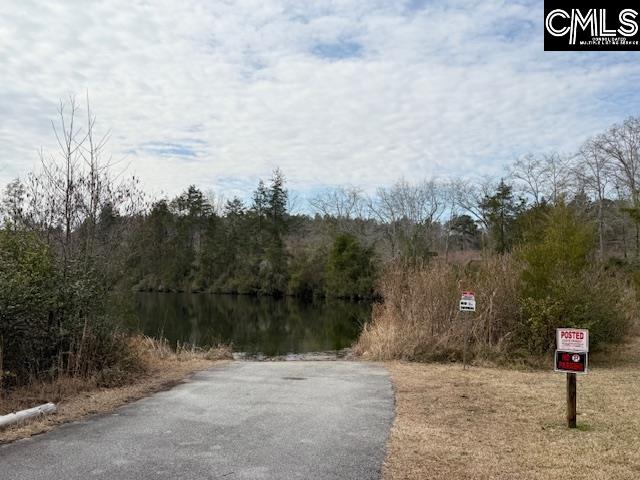 413 Blue Artesian Way Lexington, SC 29073-9828