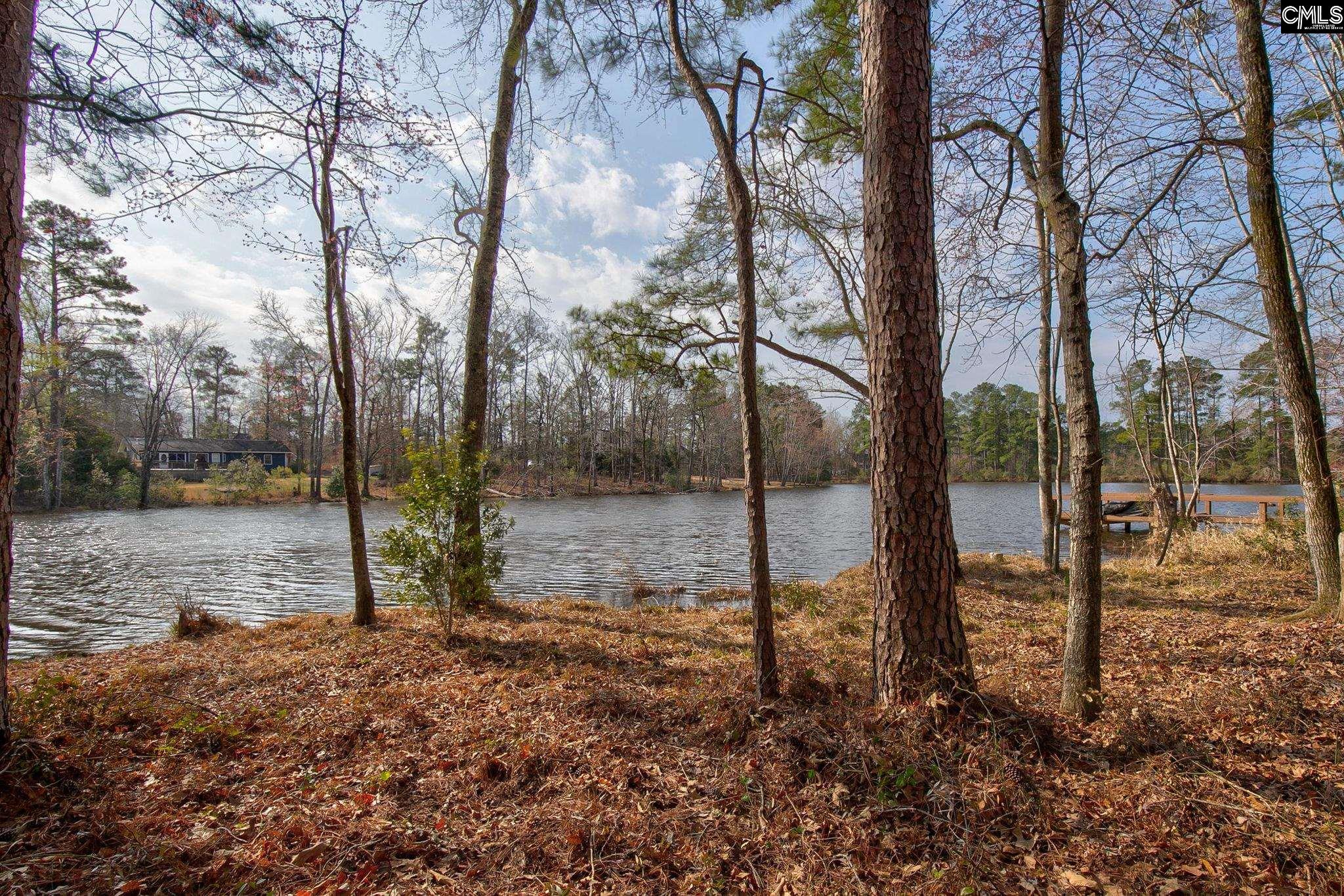 217 Caro Lane Chapin, SC 29036