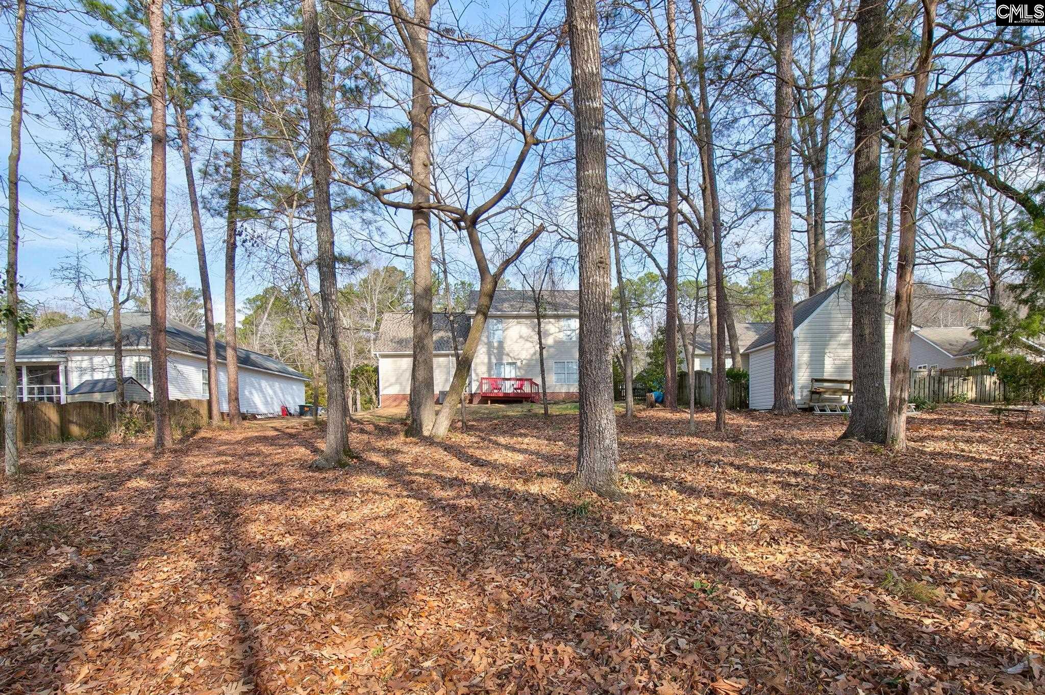 217 Caro Lane Chapin, SC 29036