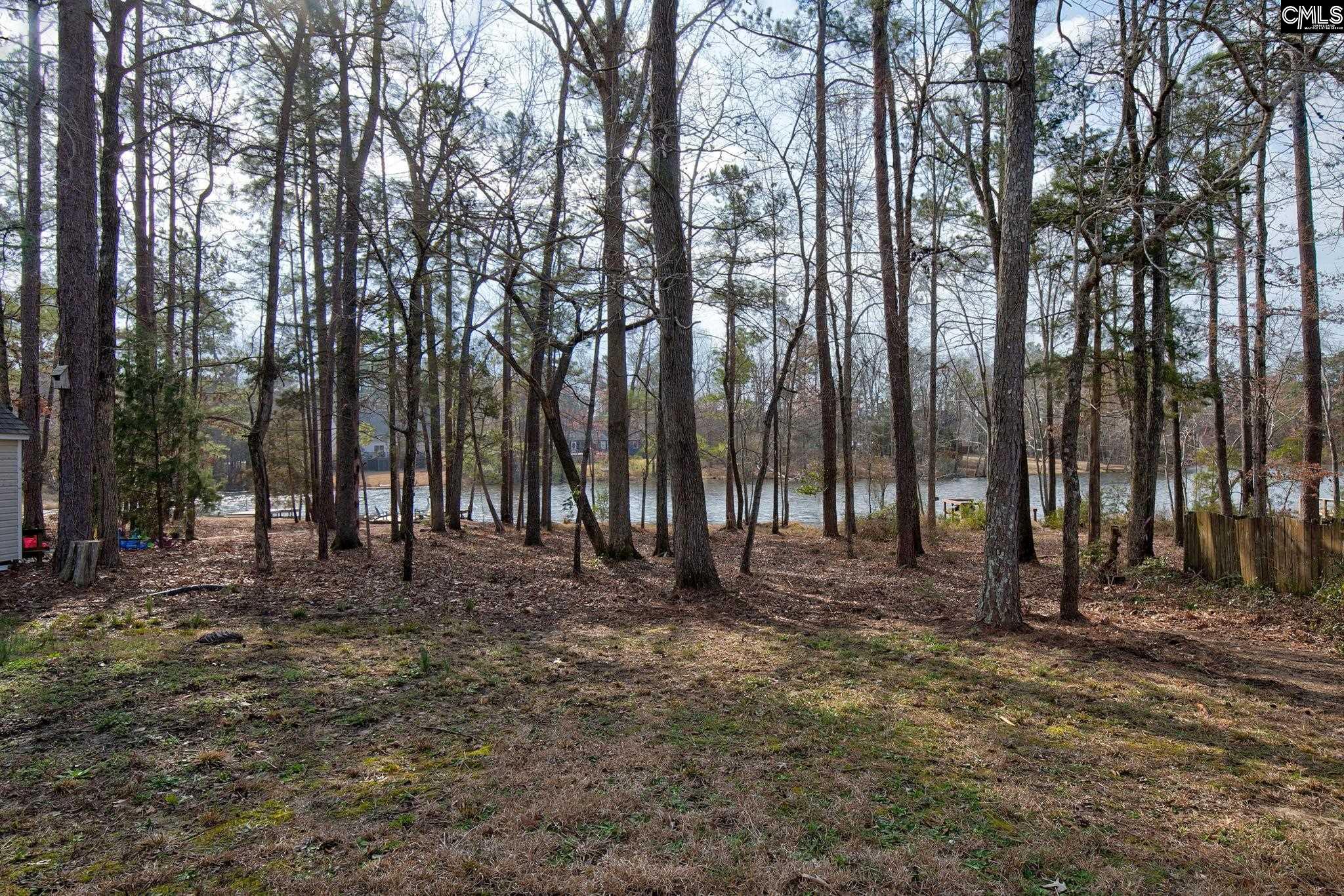 217 Caro Lane Chapin, SC 29036