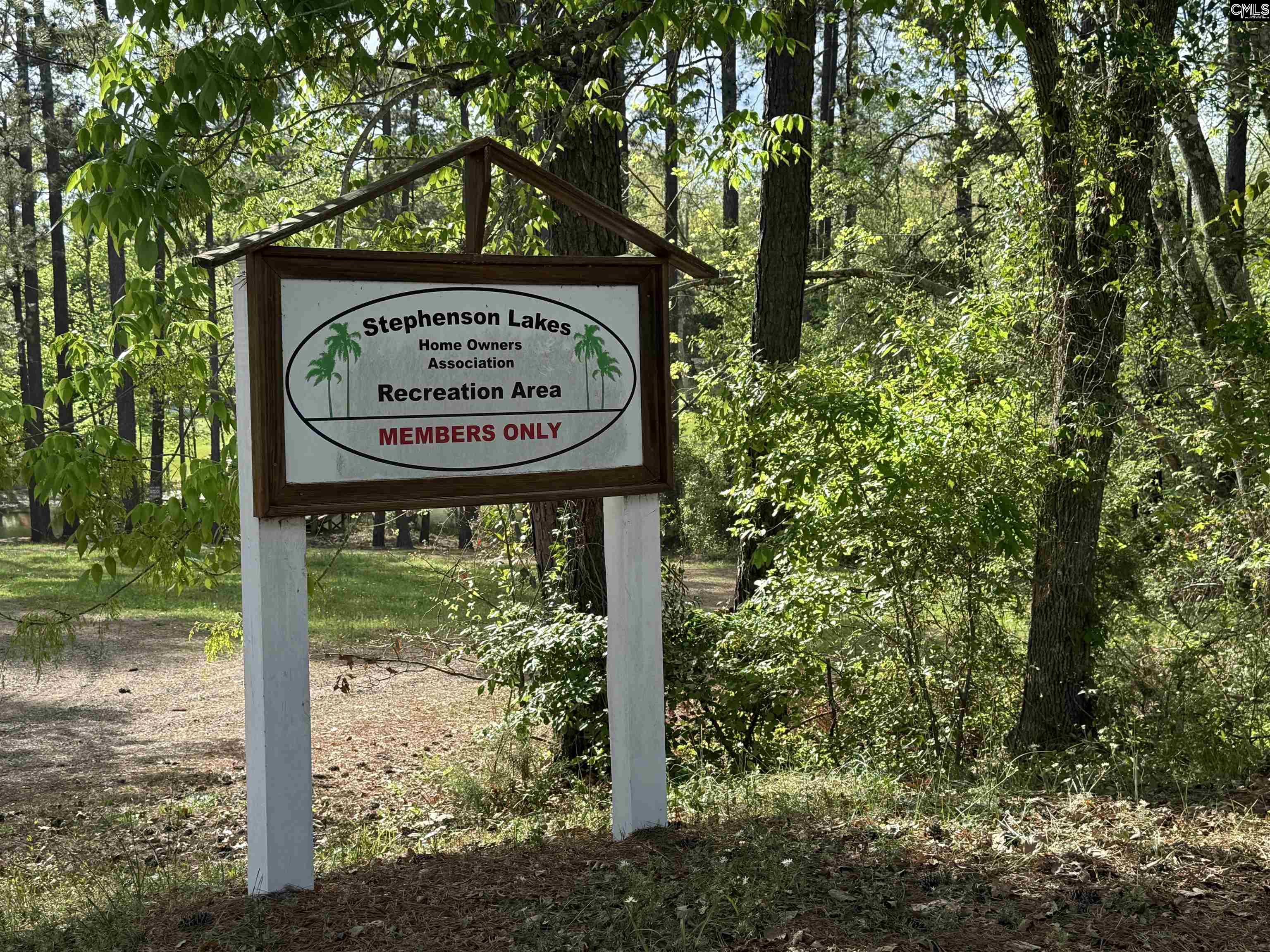 217 Caro Lane Chapin, SC 29036