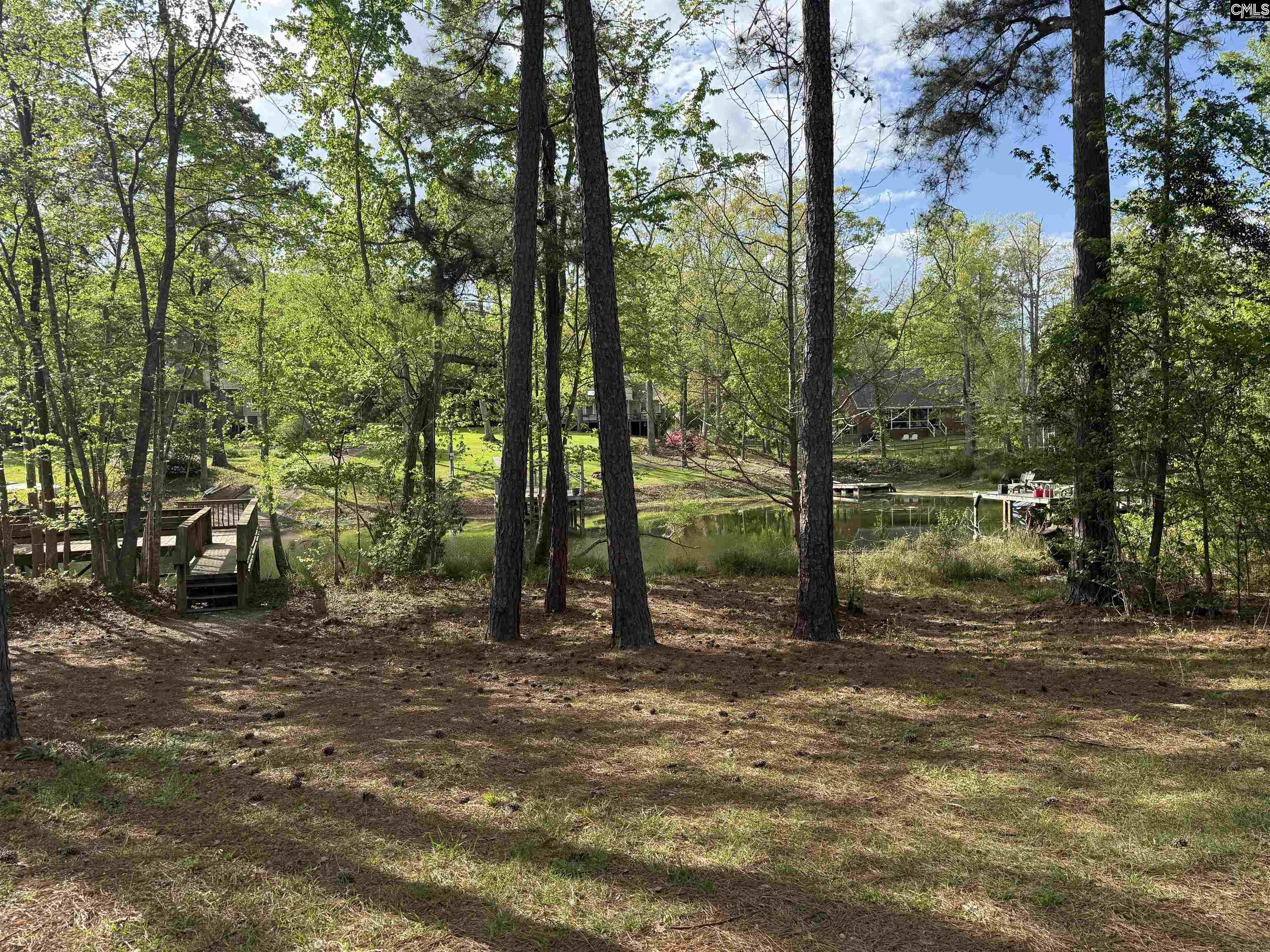 217 Caro Lane Chapin, SC 29036
