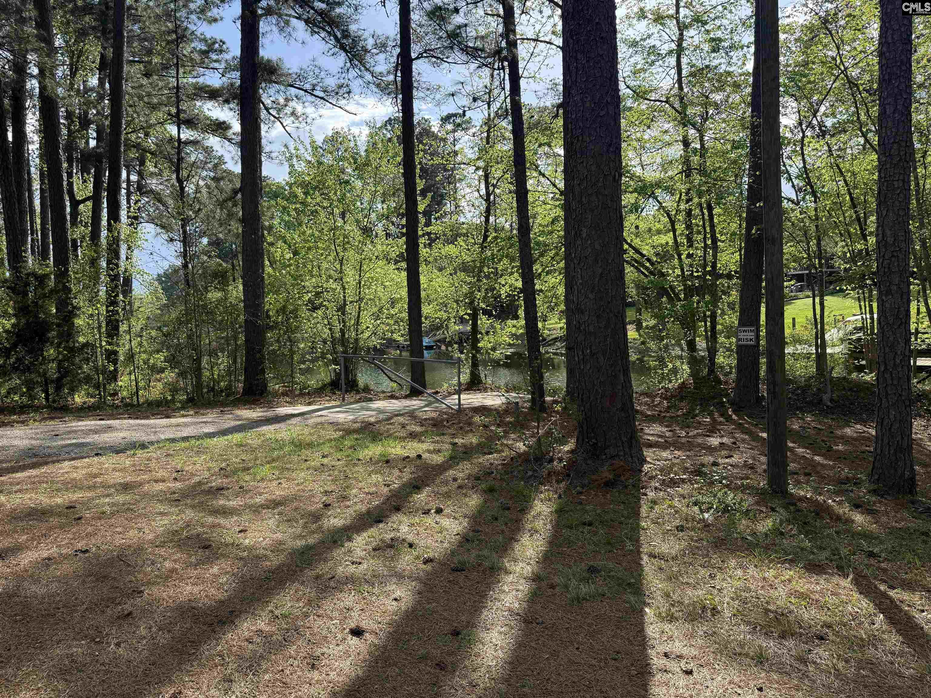 217 Caro Lane Chapin, SC 29036