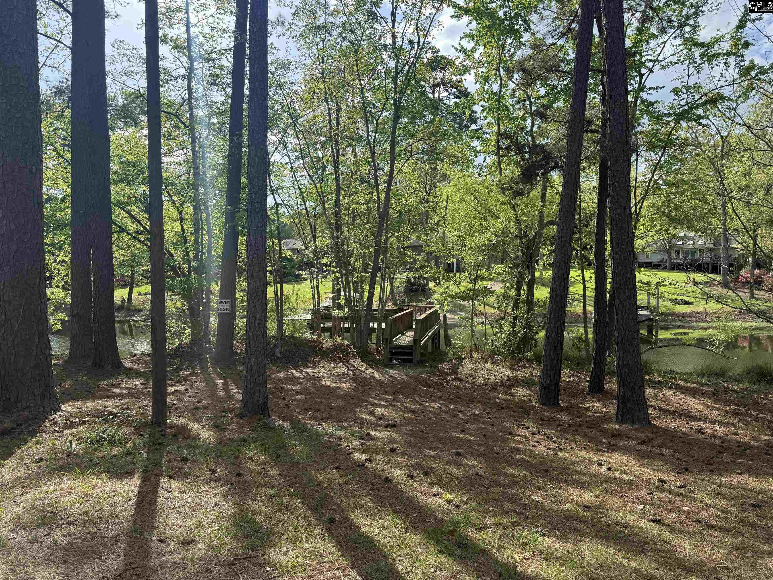217 Caro Lane Chapin, SC 29036