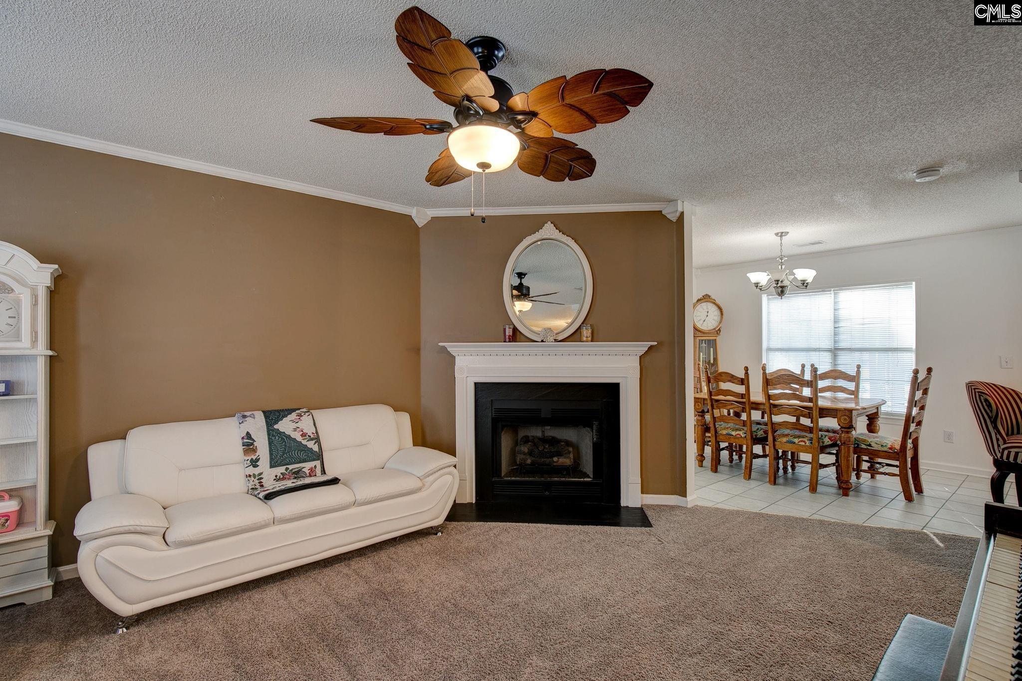217 Caro Lane Chapin, SC 29036