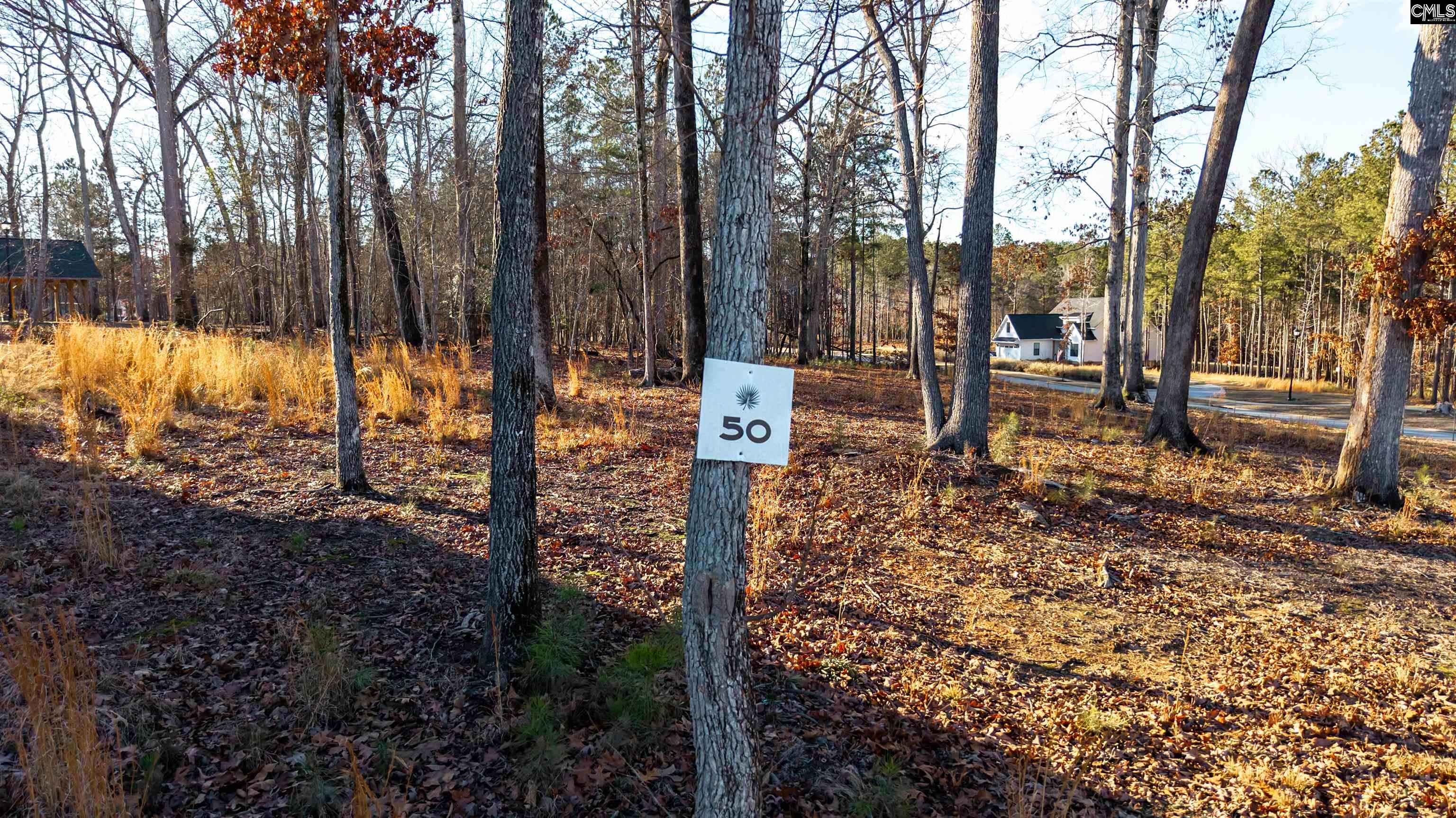 Lot 50 Shoreview Drive UNIT #50 Prosperity, SC 29172