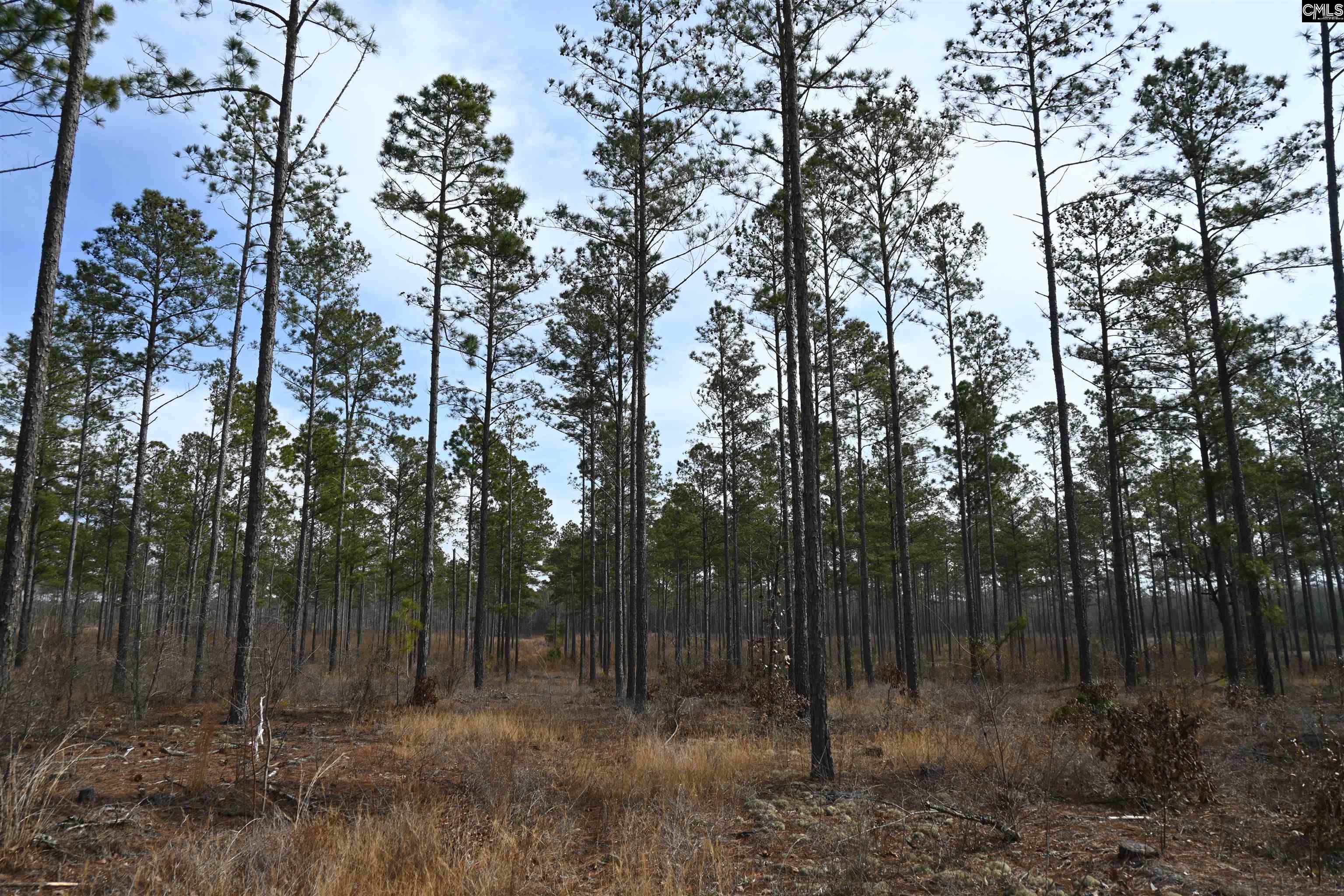 622 Pickett Thomas Road Camden, SC 29020