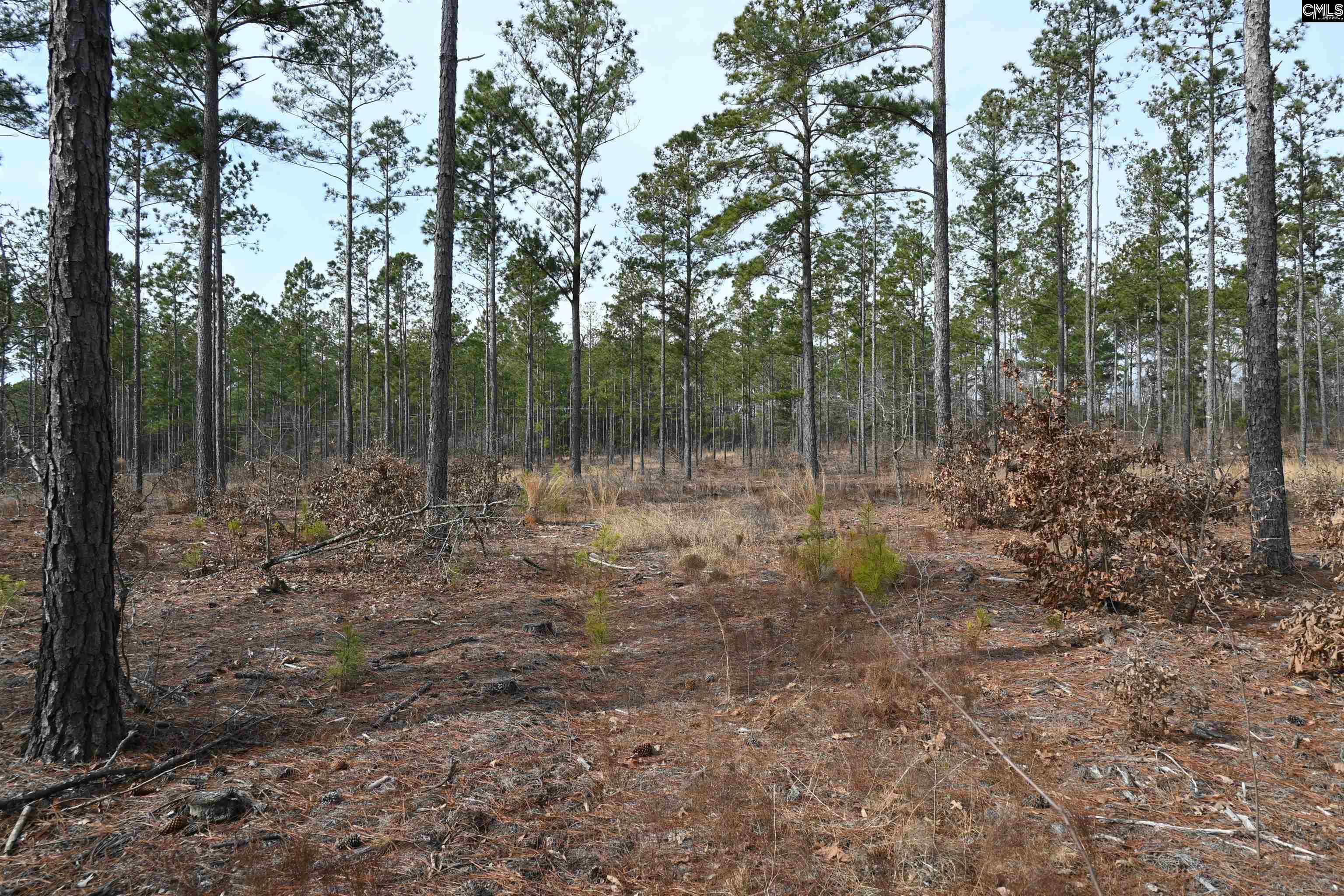 622 Pickett Thomas Road Camden, SC 29020