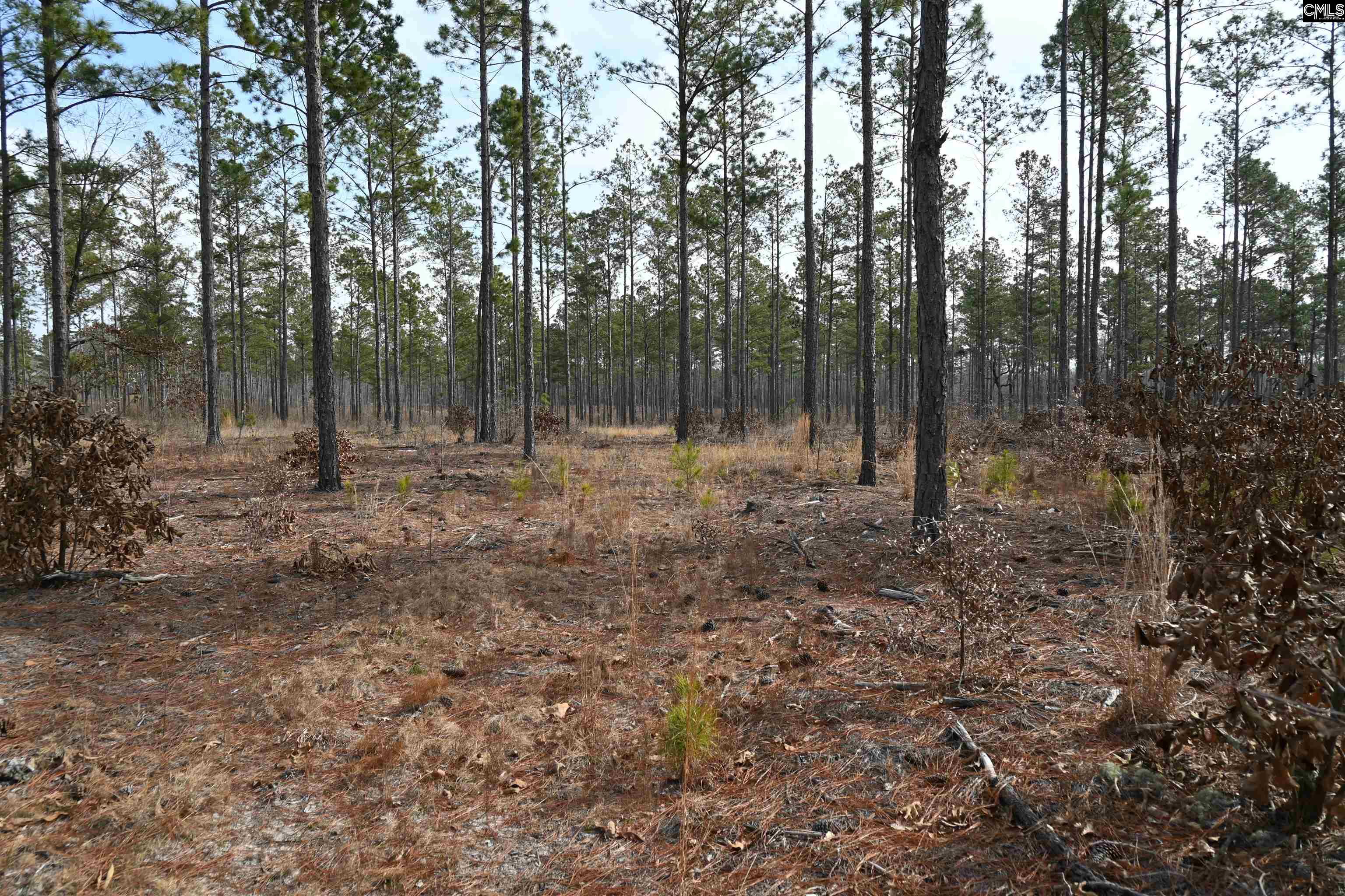 622 Pickett Thomas Road Camden, SC 29020