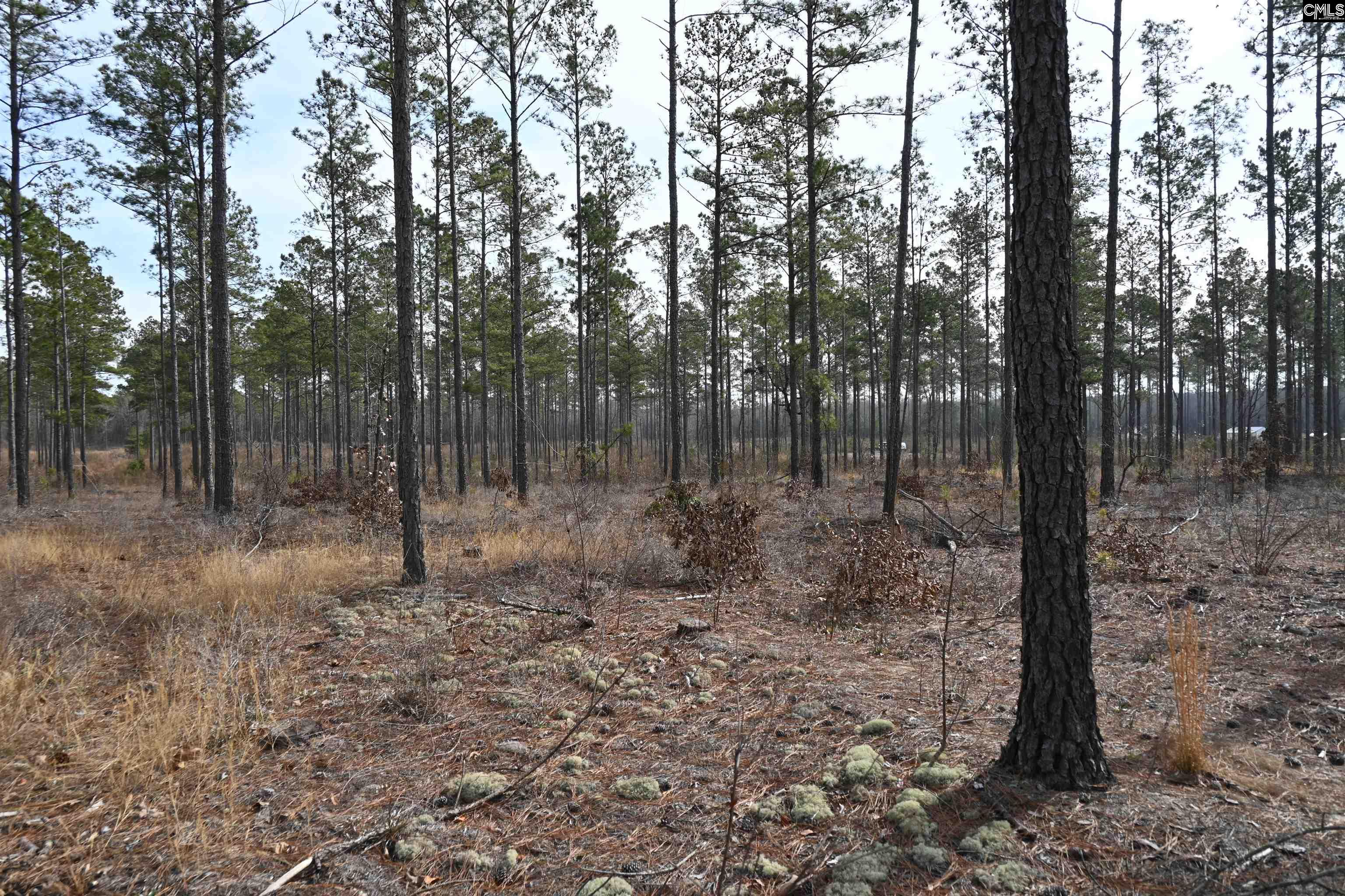 622 Pickett Thomas Road Camden, SC 29020
