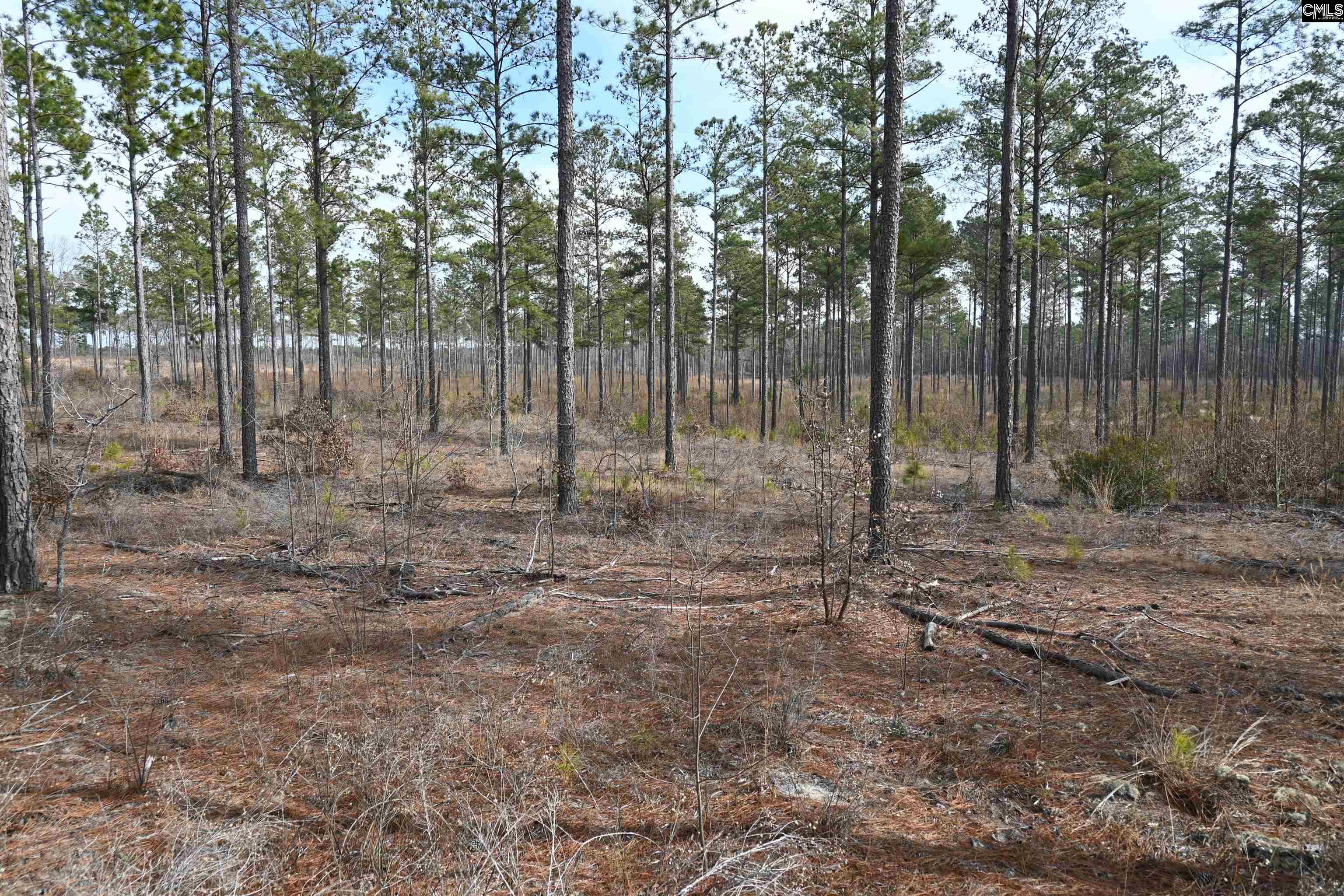 622 Pickett Thomas Road Camden, SC 29020