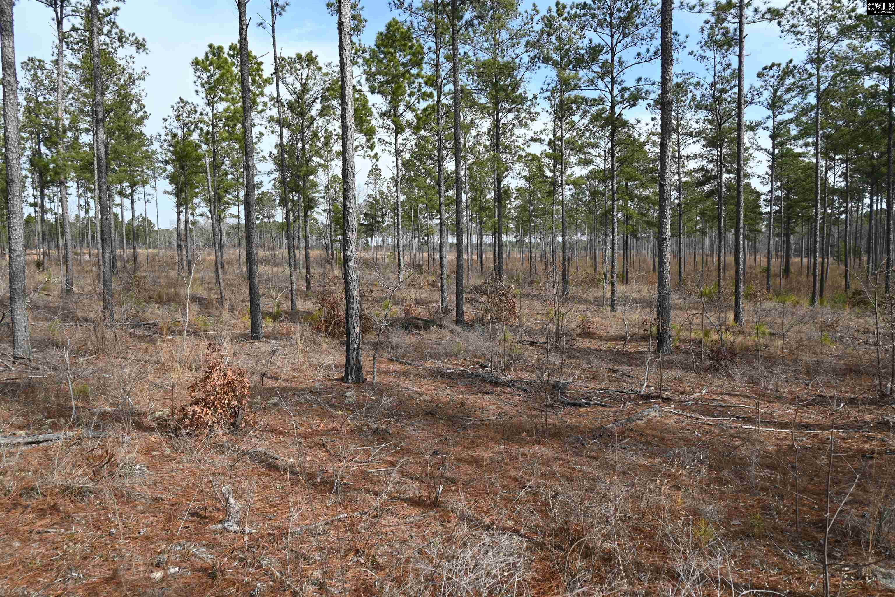 622 Pickett Thomas Road Camden, SC 29020