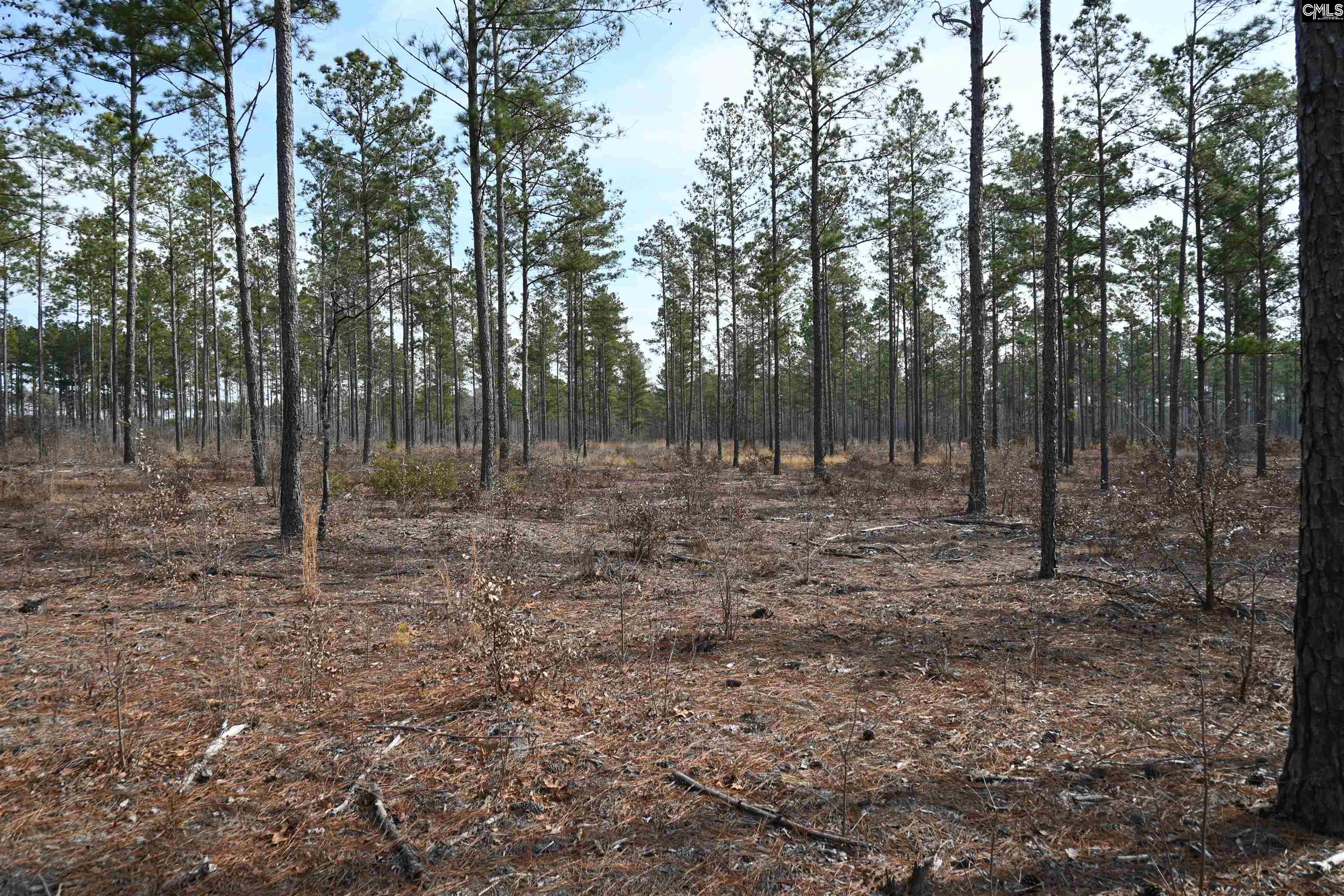 622 Pickett Thomas Road Camden, SC 29020