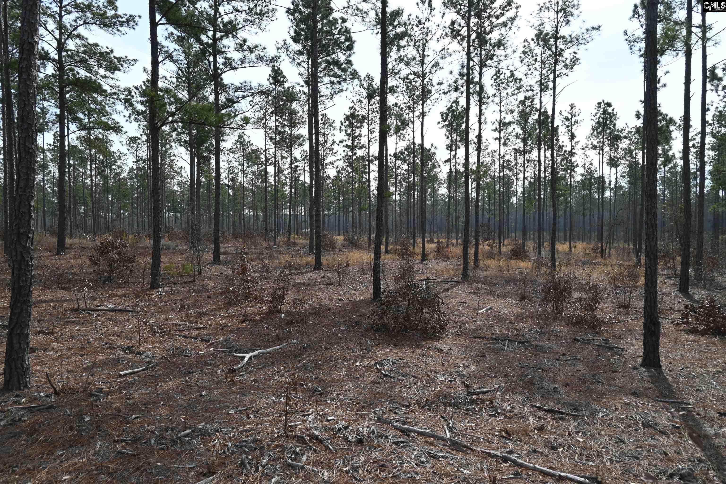 622 Pickett Thomas Road Camden, SC 29020