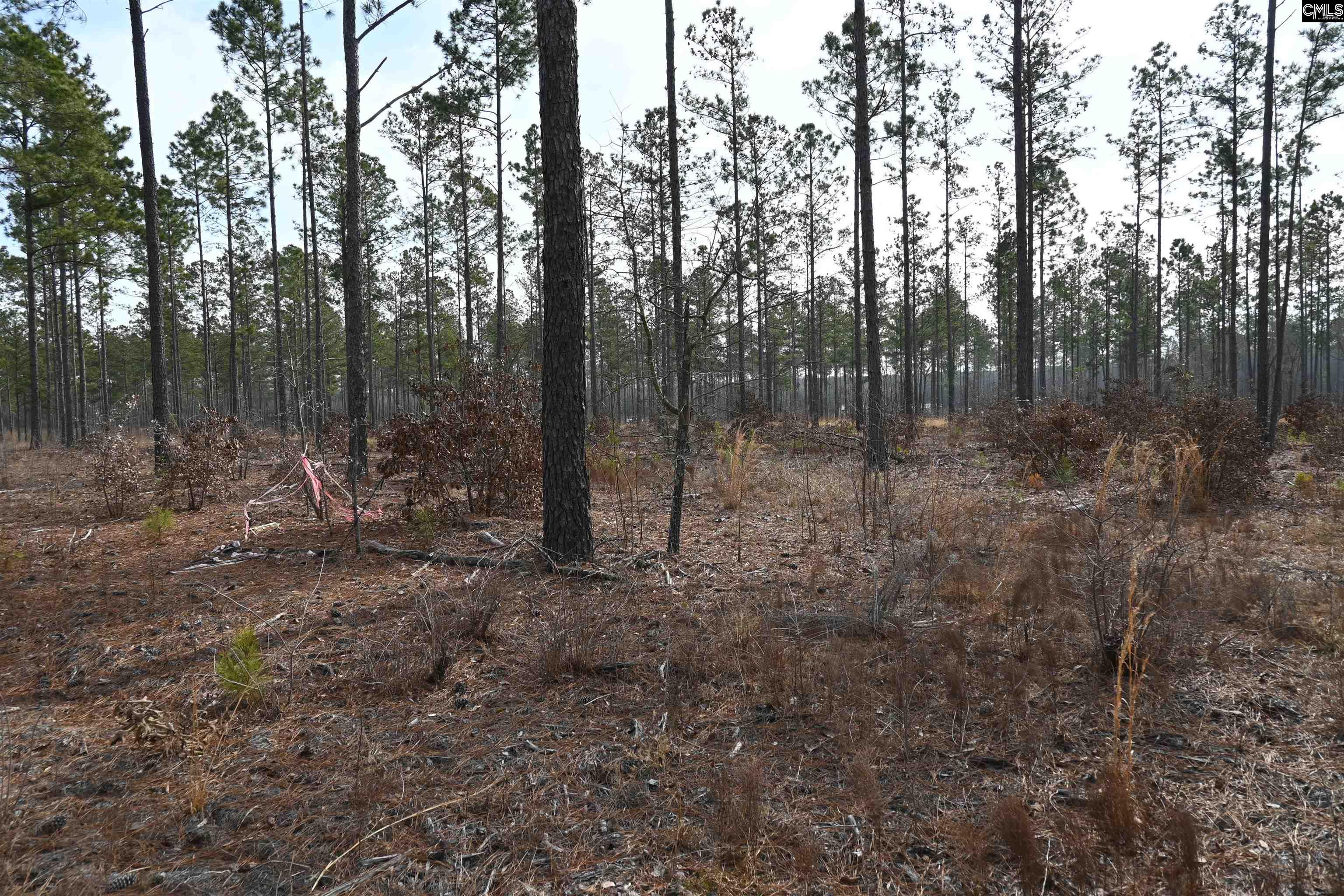 622 Pickett Thomas Road Camden, SC 29020