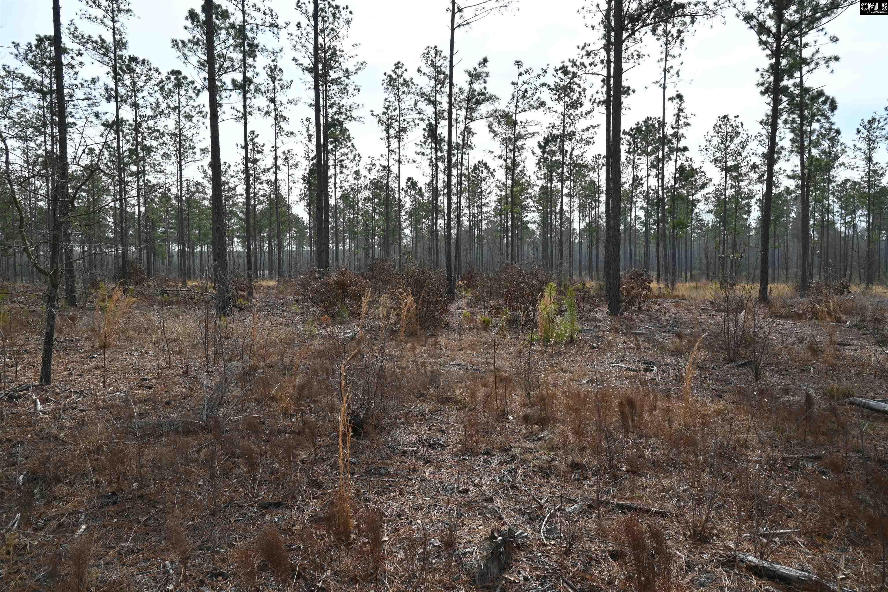 622 Pickett Thomas Road Camden, SC 29020