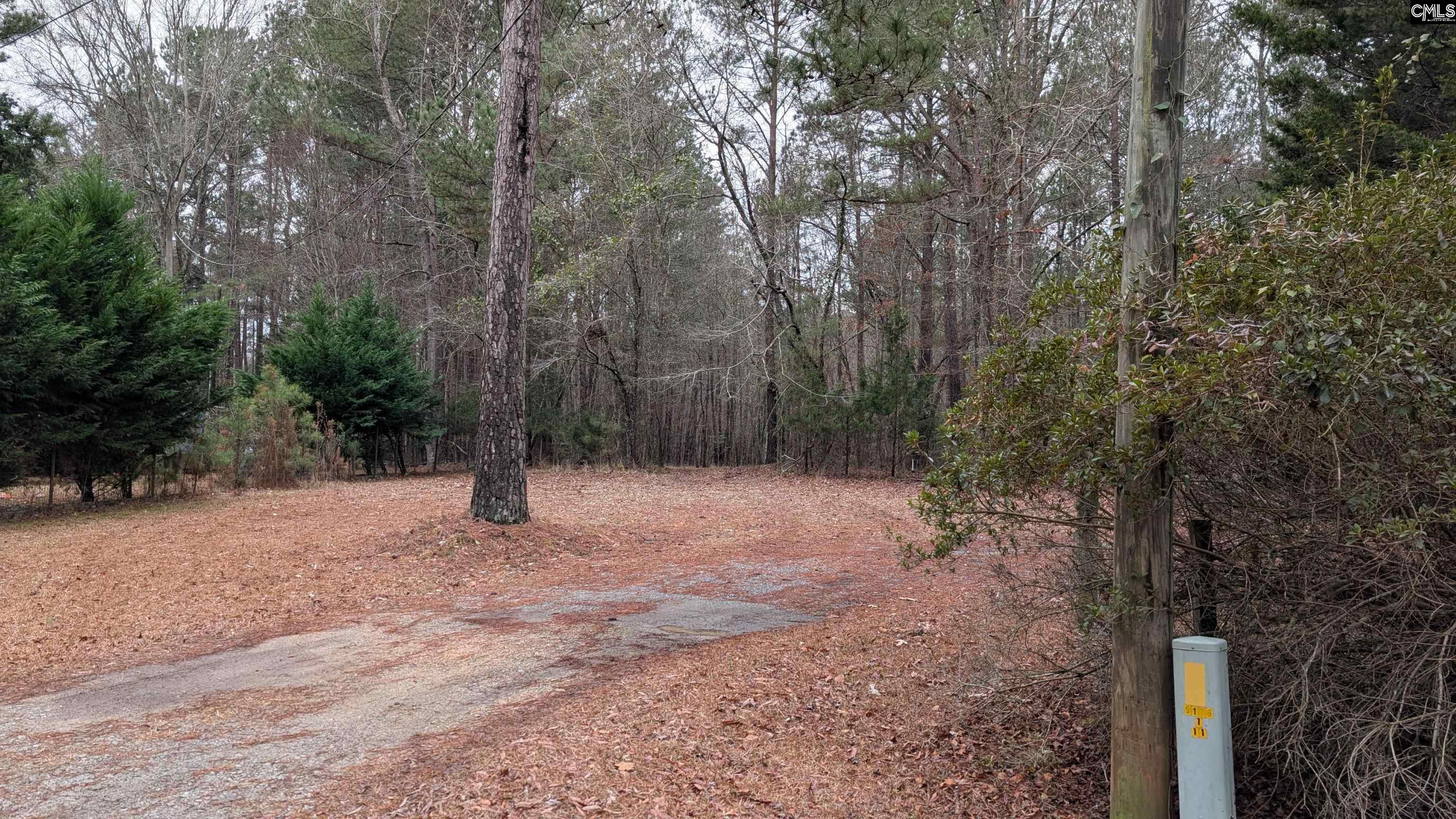 TBD Colonels Circle Ridgeway, SC 29130-0000