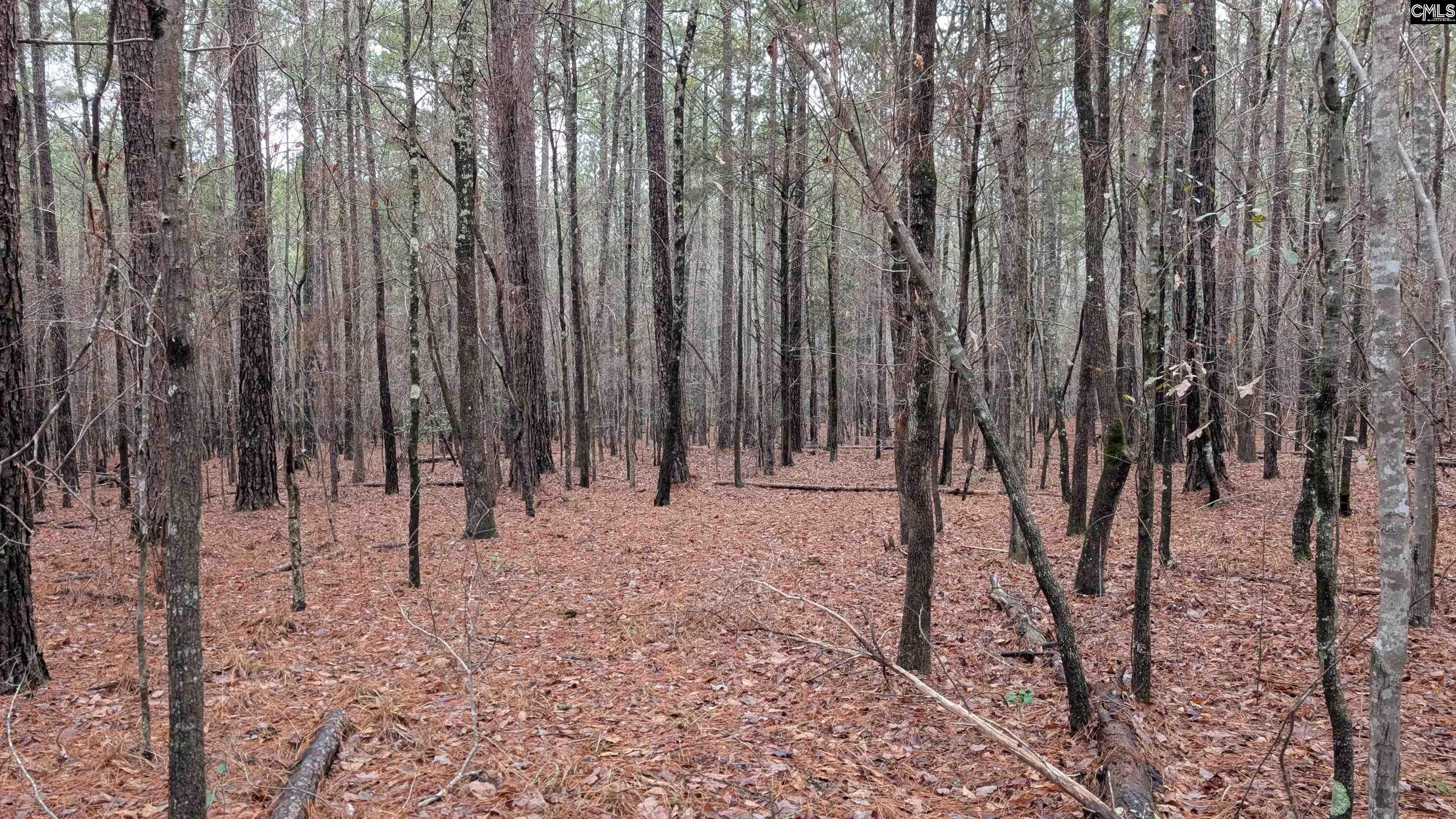 TBD Colonels Circle Ridgeway, SC 29130-0000