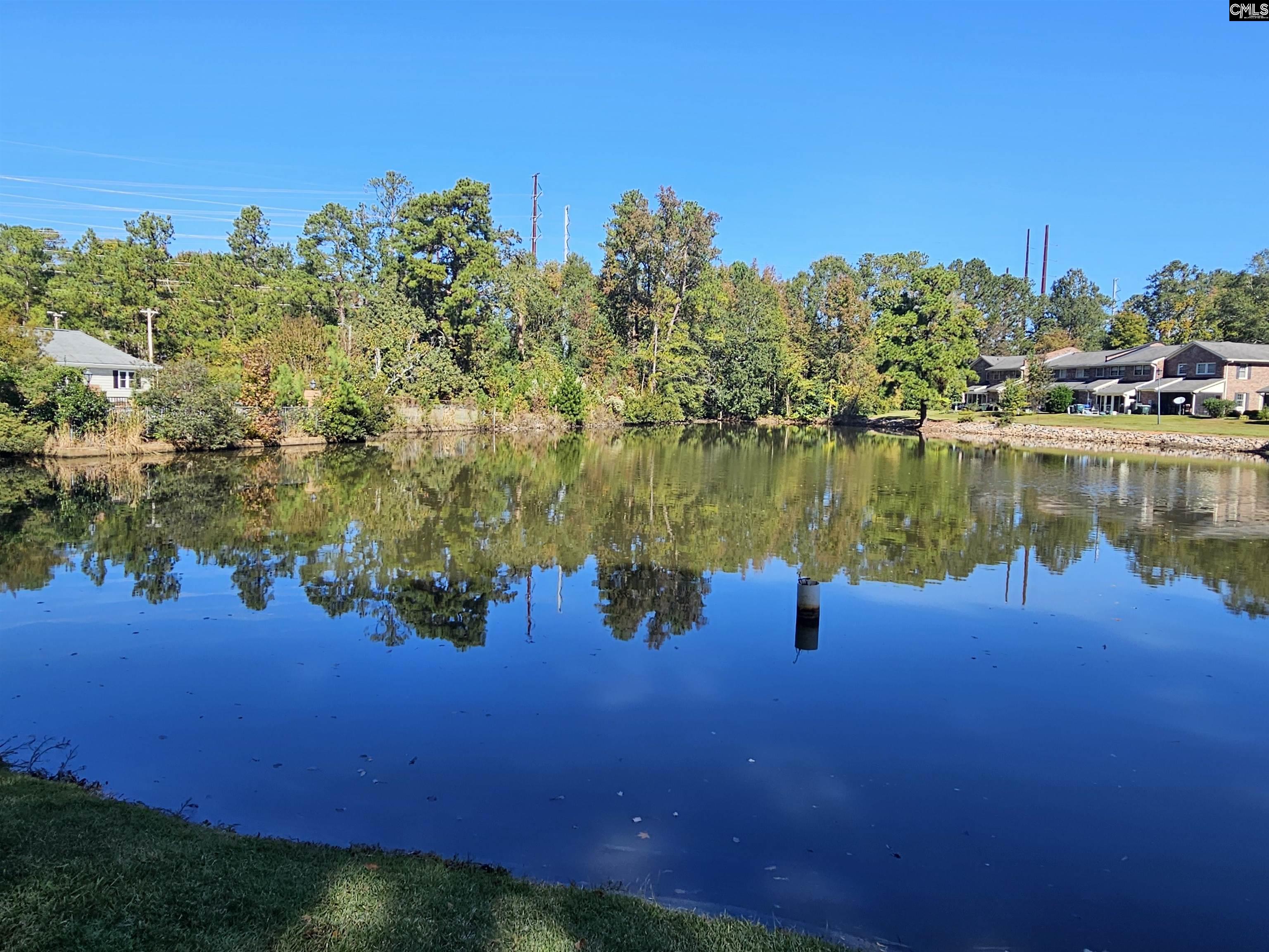 223 Rutledge Place Columbia, SC 29212