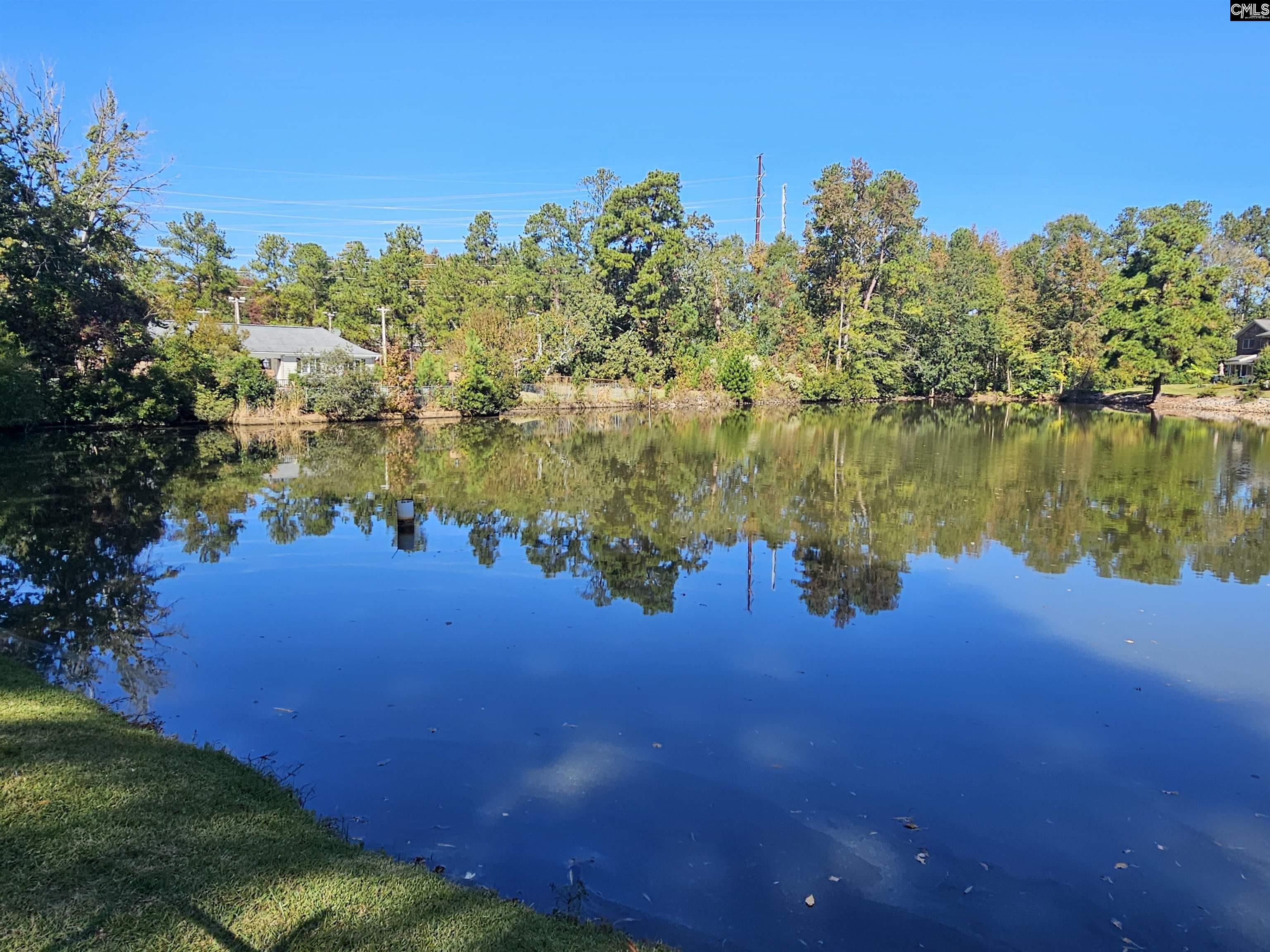 223 Rutledge Place Columbia, SC 29212