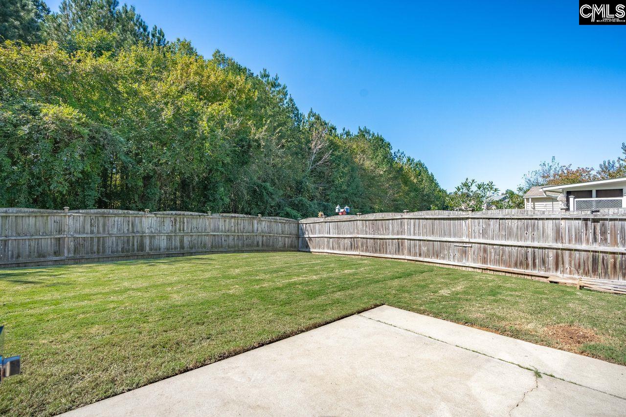 445 Crawley Lane Chapin, SC 29036