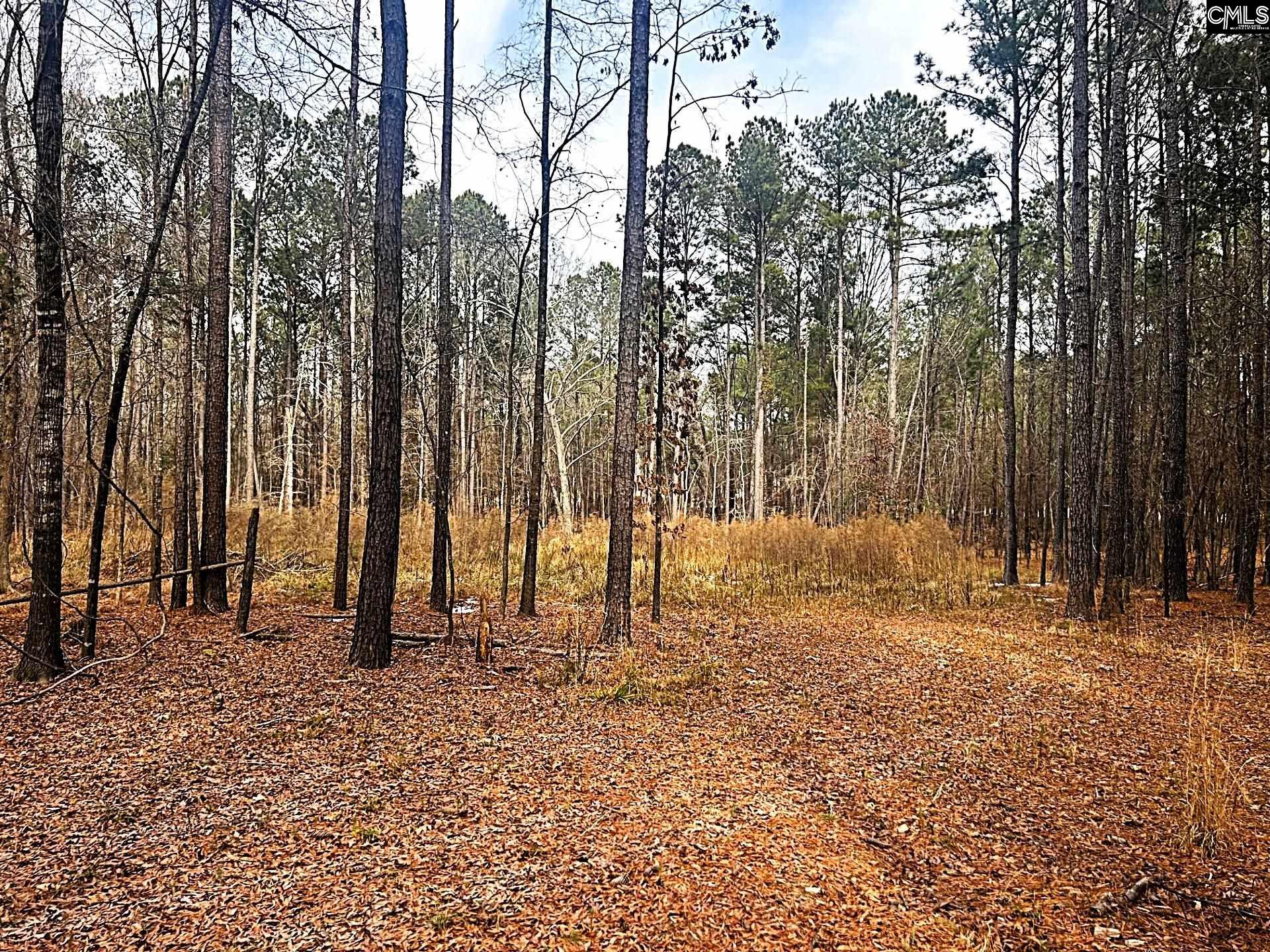 Circle H Woods Road Prosperity, SC 29127