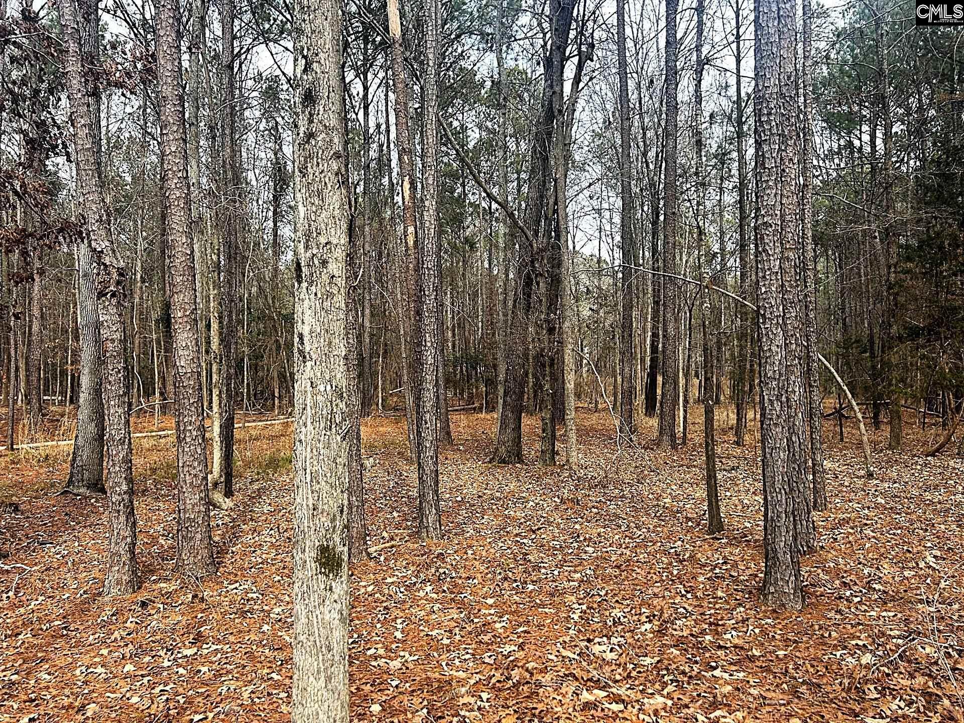 Circle H Woods Road Prosperity, SC 29127