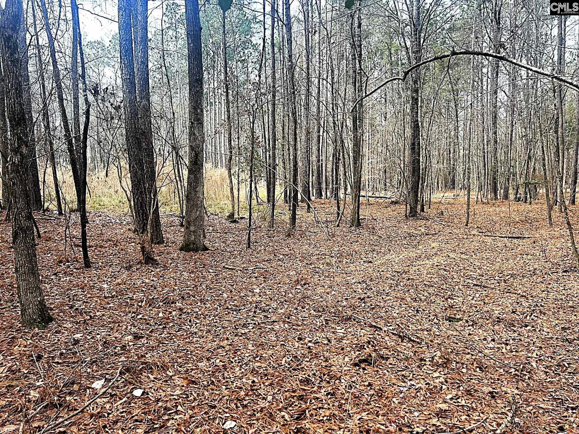 Circle H Woods Road Prosperity, SC 29127