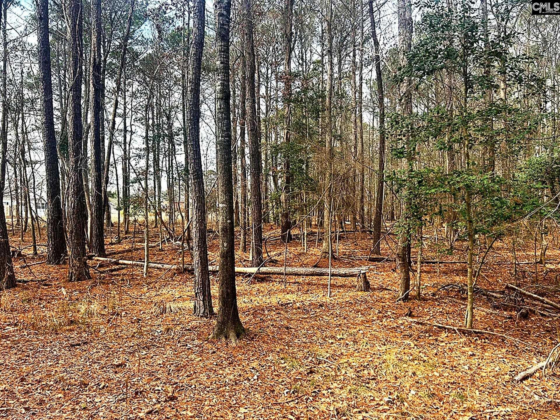 Circle H Woods Road Prosperity, SC 29127