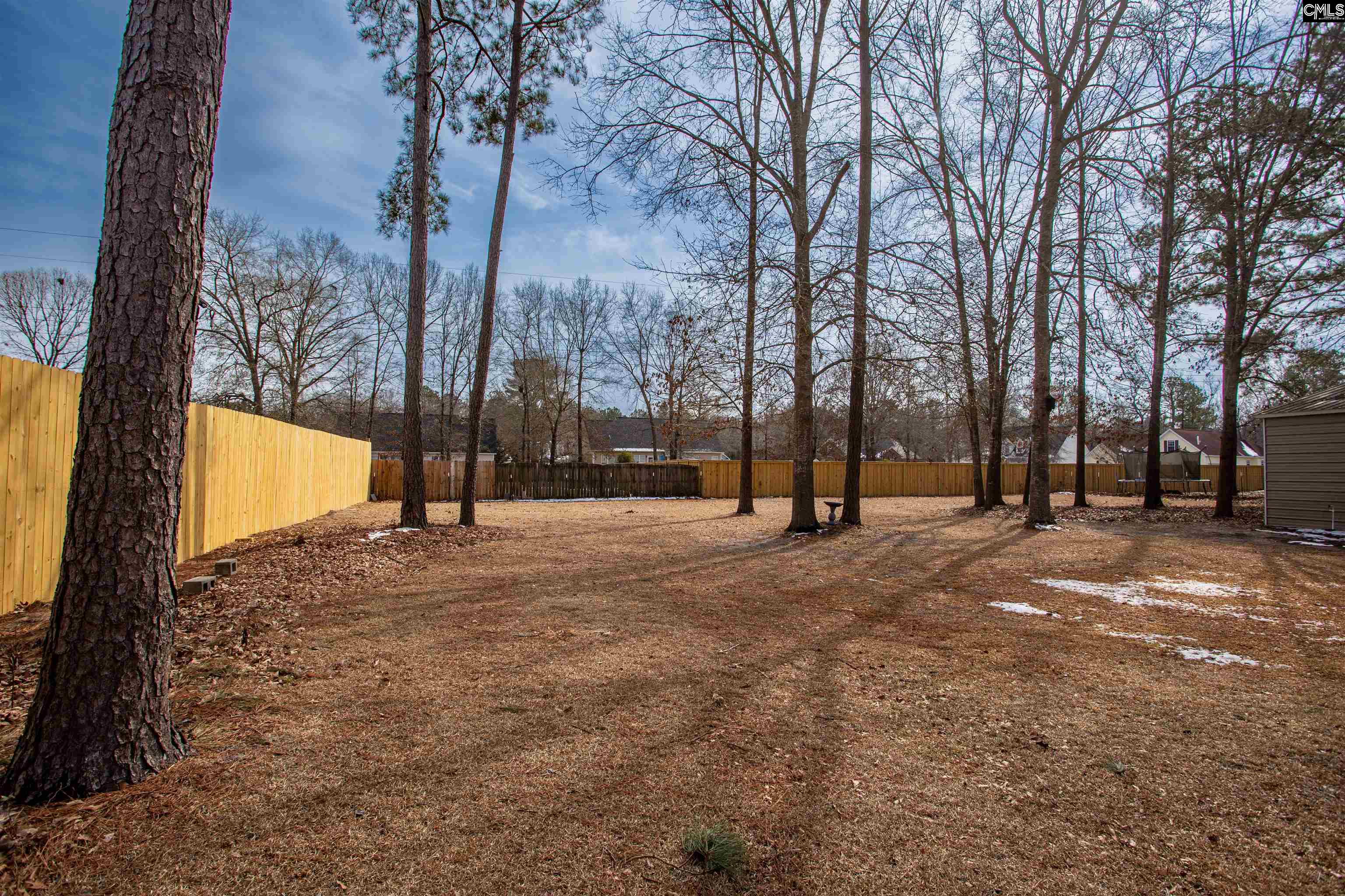 9 Bushnell Court Lugoff, SC 29078-0000