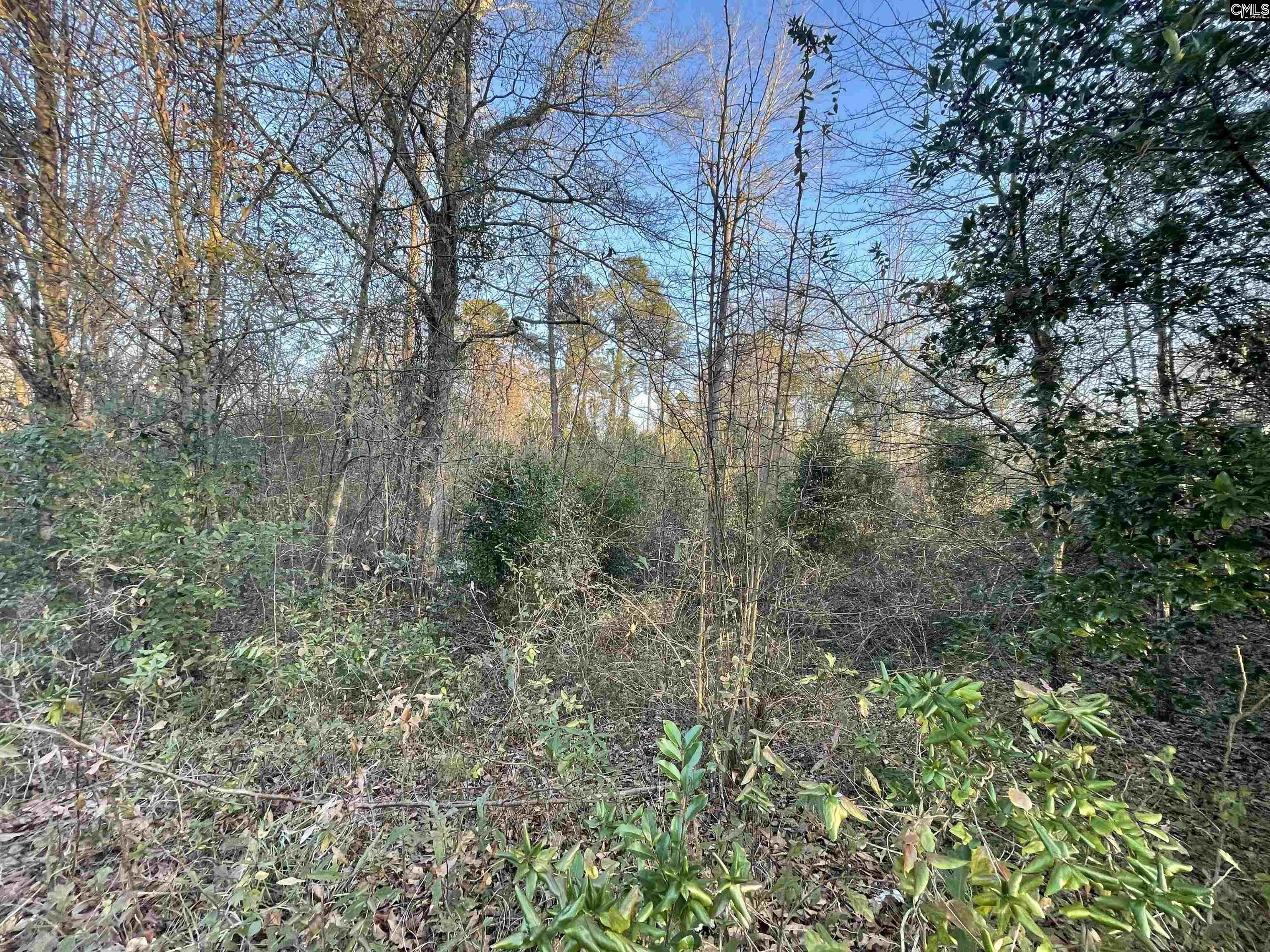 Lot 6-C Forest Circle New Ellenton, SC 29809