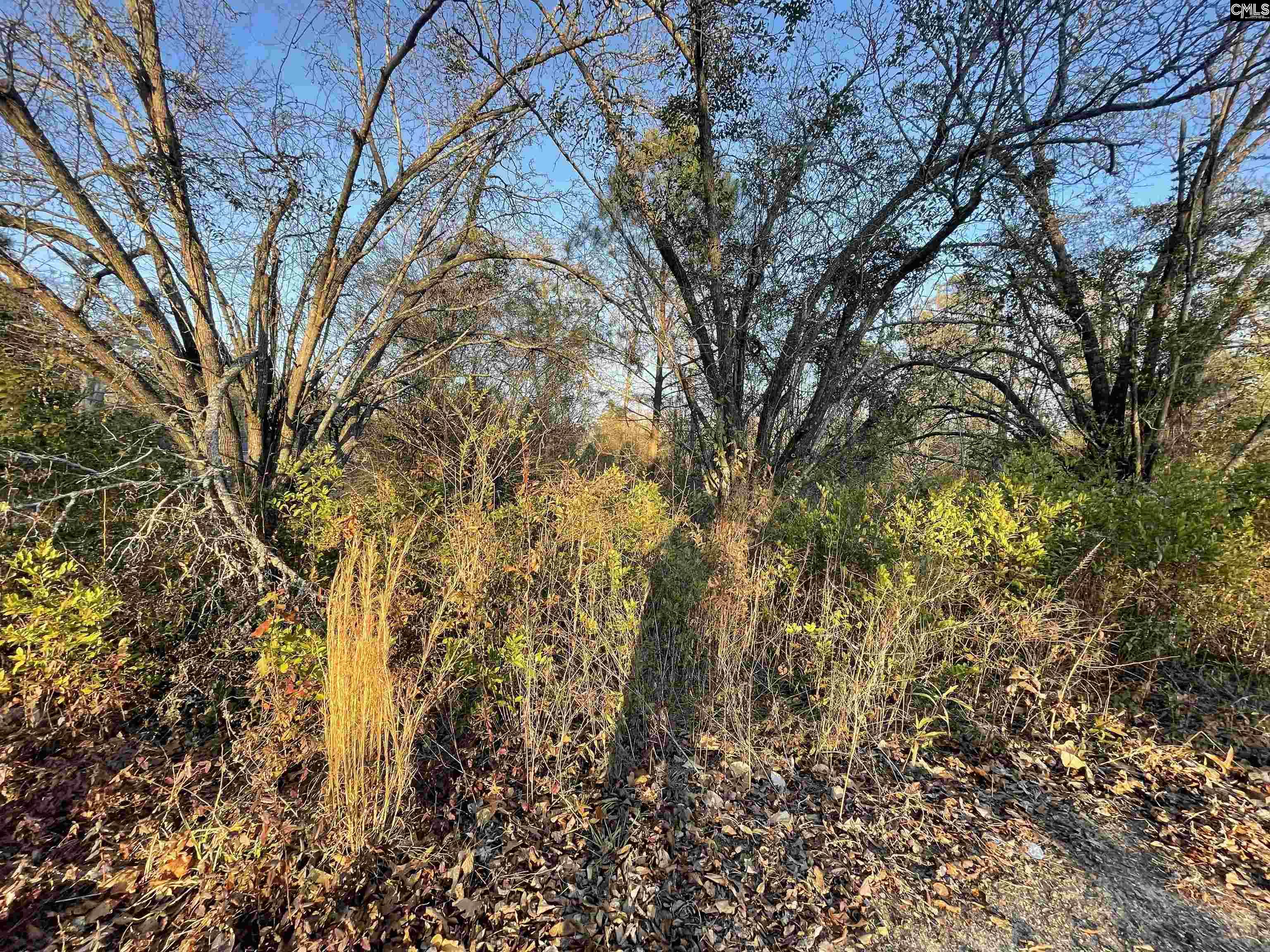 Lot 6-C Forest Circle New Ellenton, SC 29809