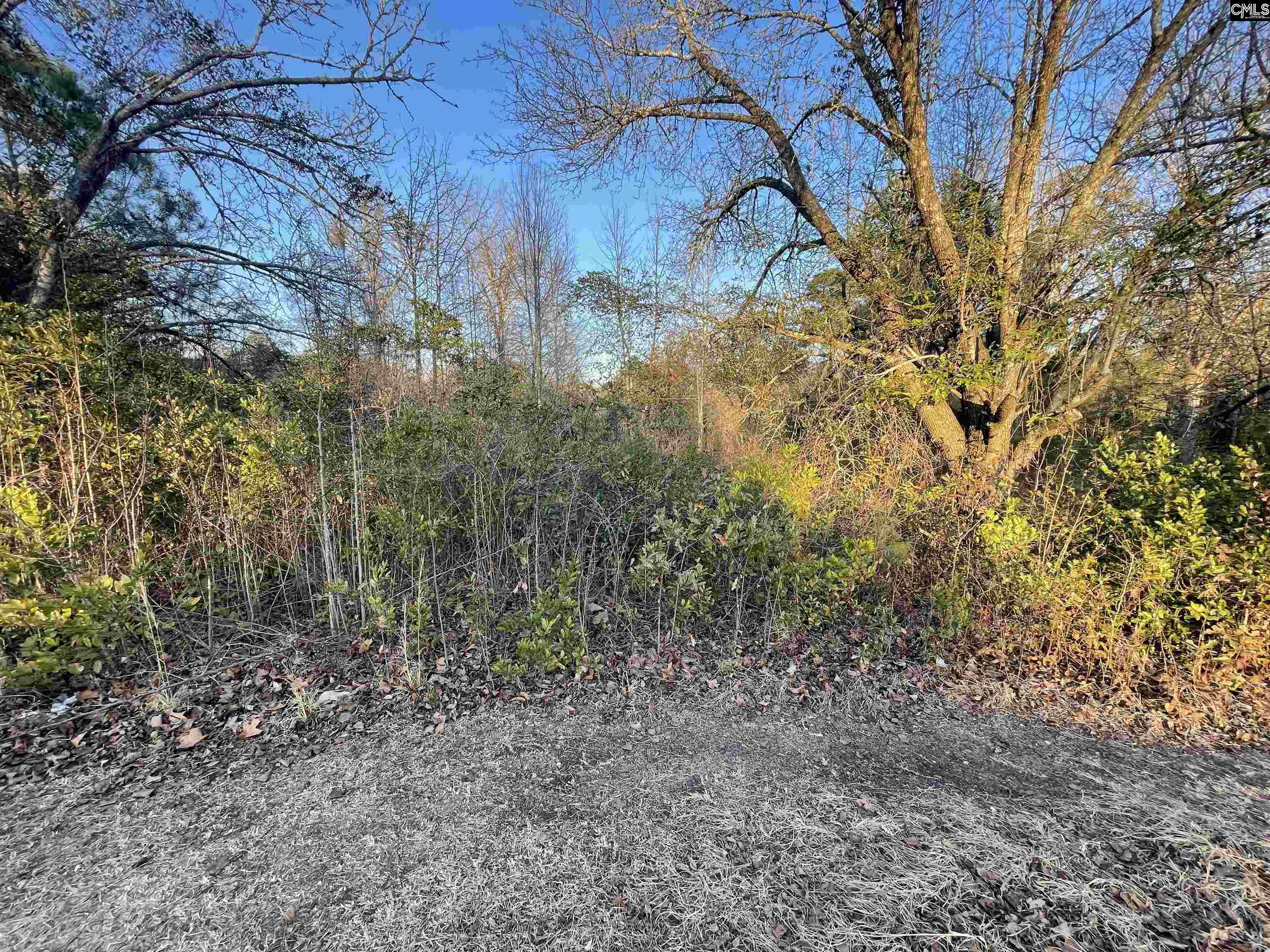 Lot 6-C Forest Circle New Ellenton, SC 29809