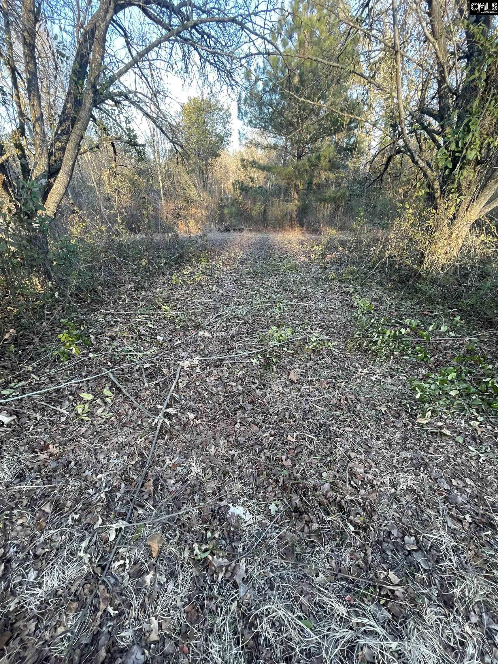 Lot 6-C Forest Circle New Ellenton, SC 29809