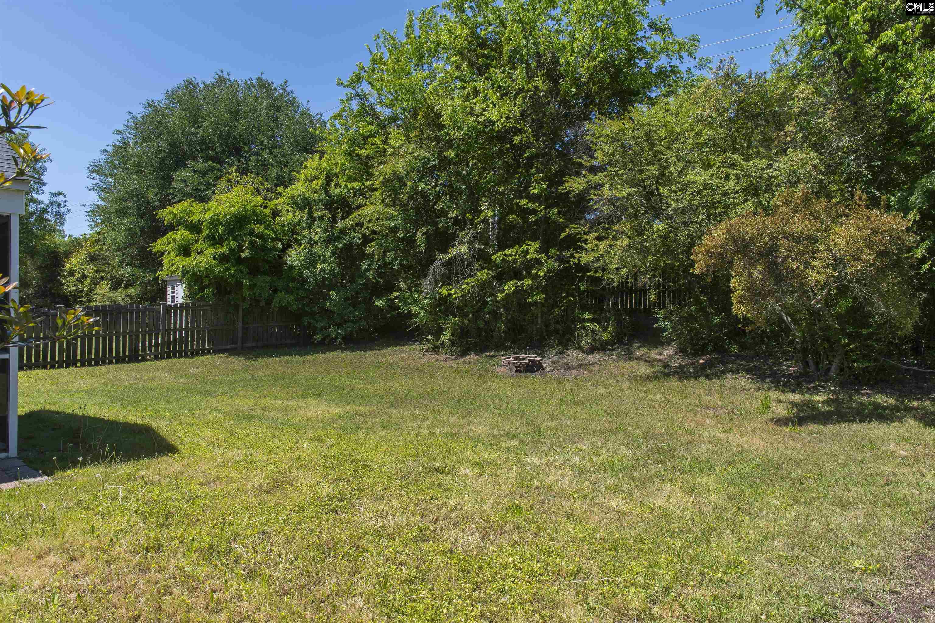 392 Eagle Pointe Drive Chapin, SC 29036