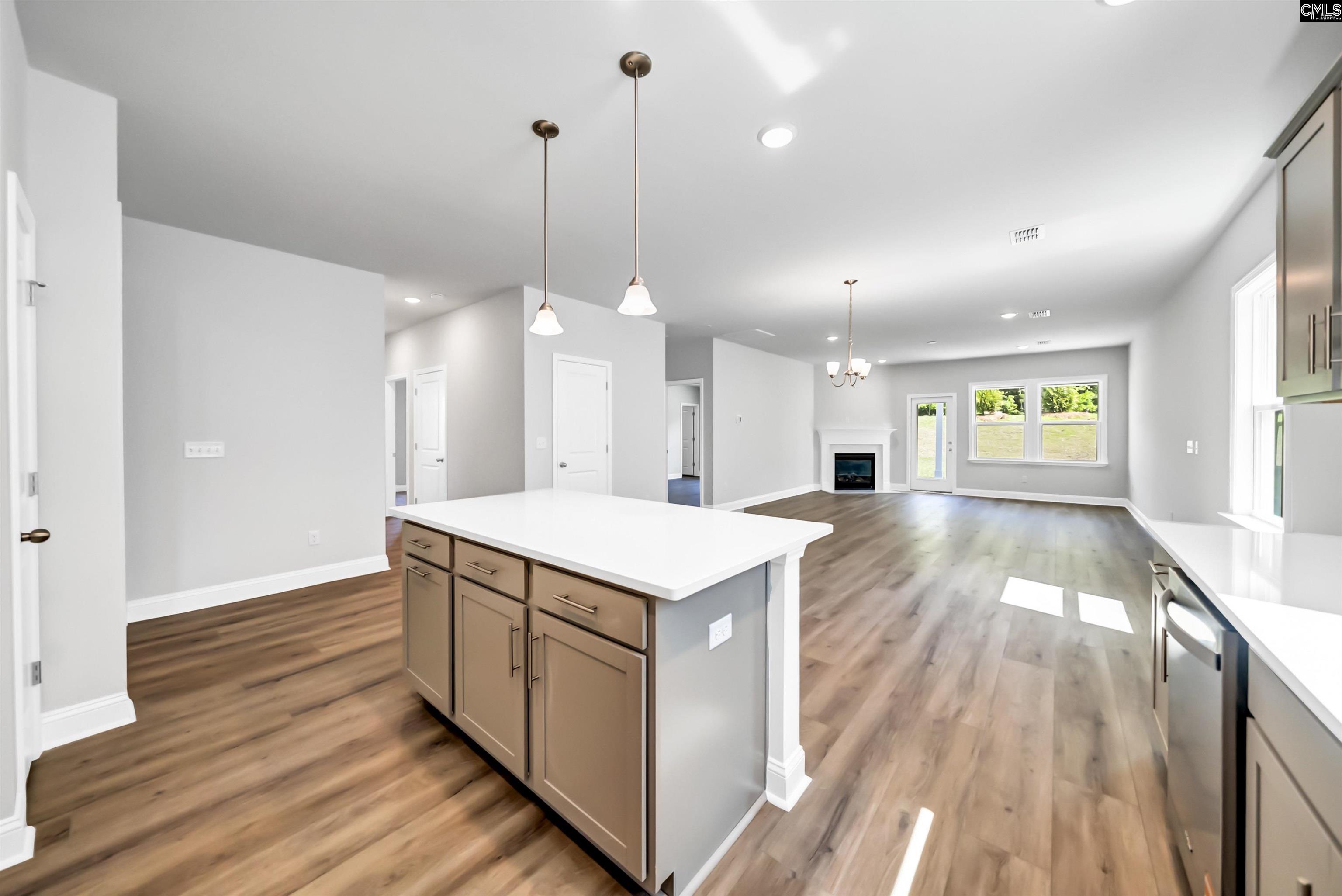 173 Monroe Preserve Lane Chapin, SC 29036