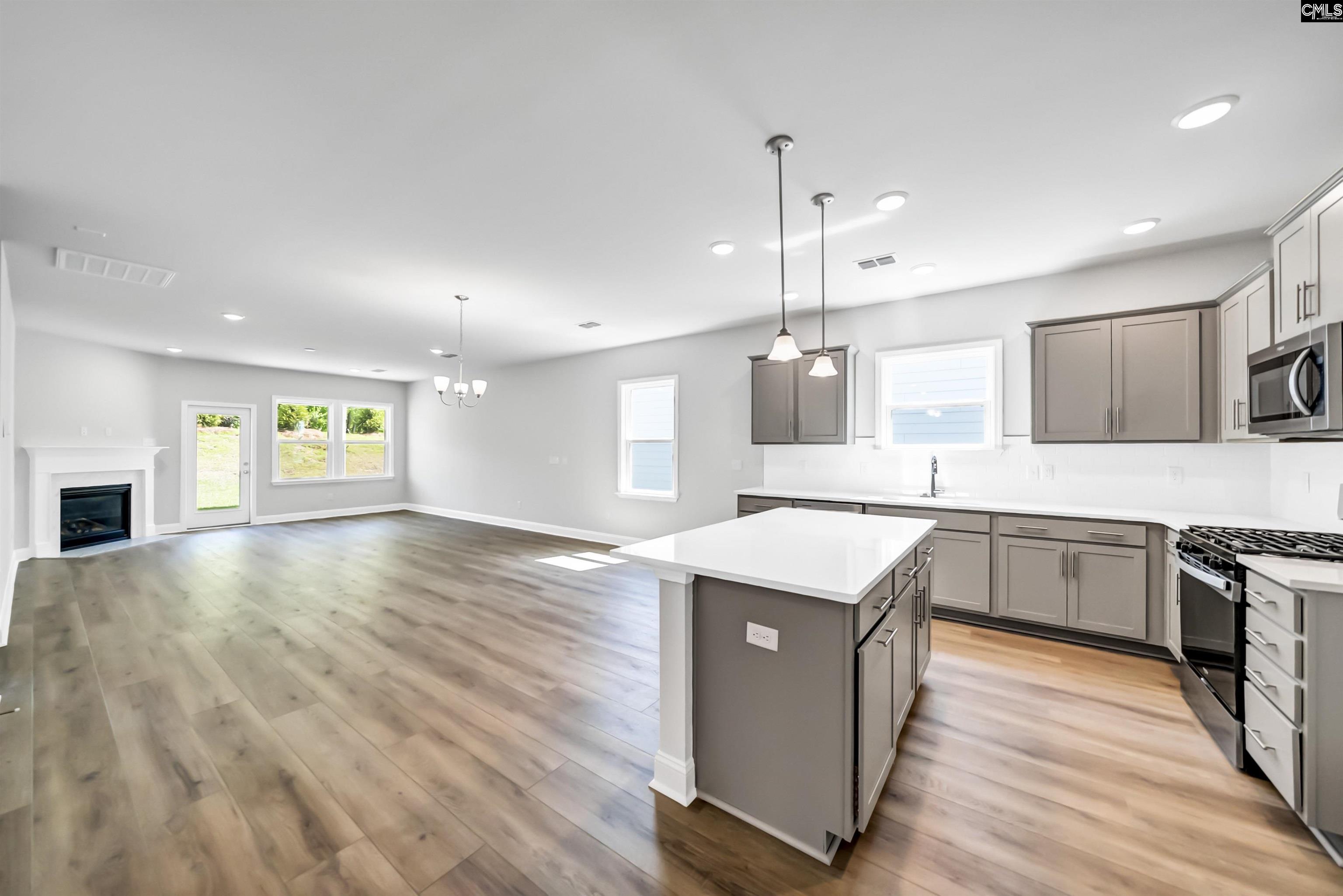 173 Monroe Preserve Lane Chapin, SC 29036