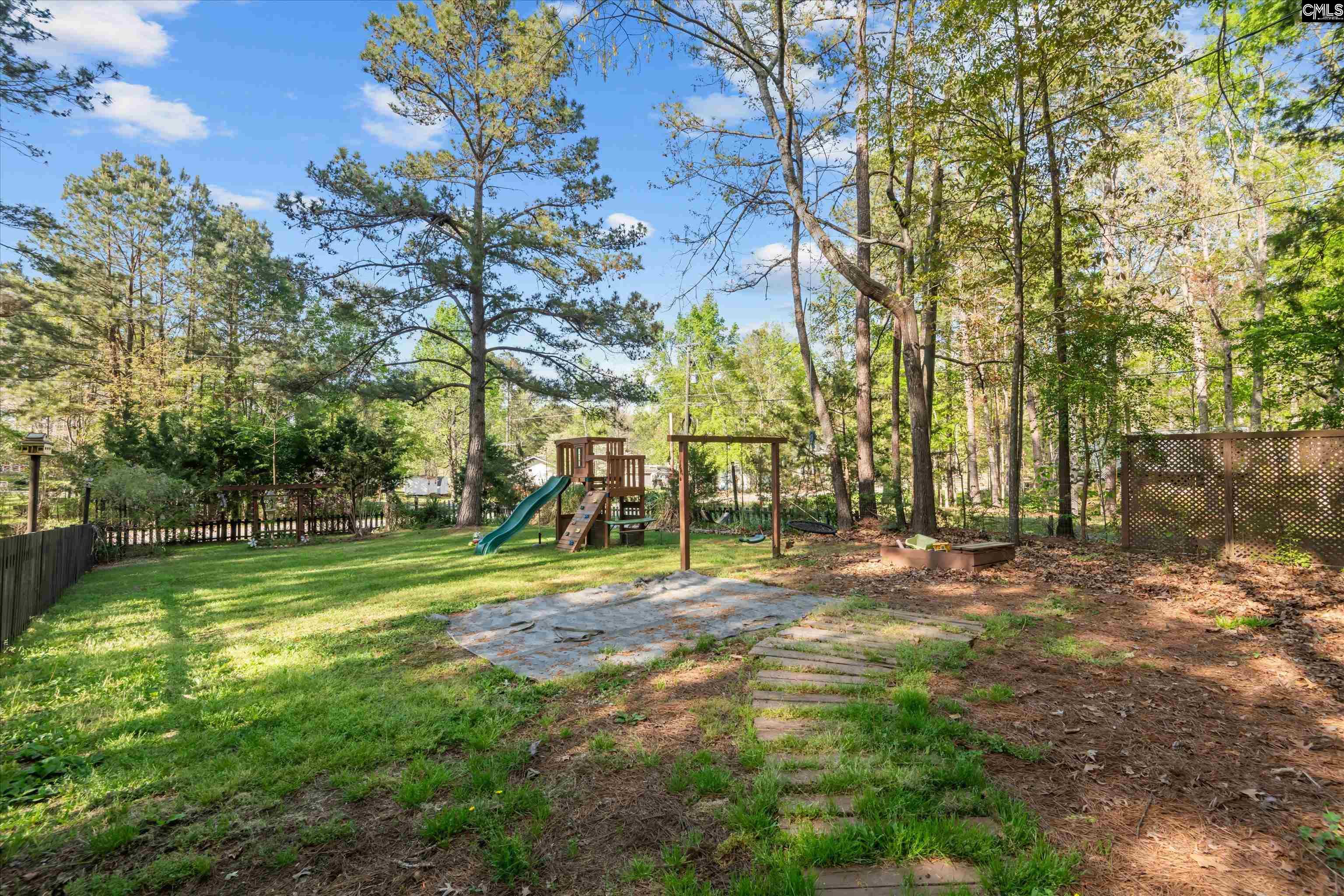 195 Lexington Lane Chapin, SC 29036