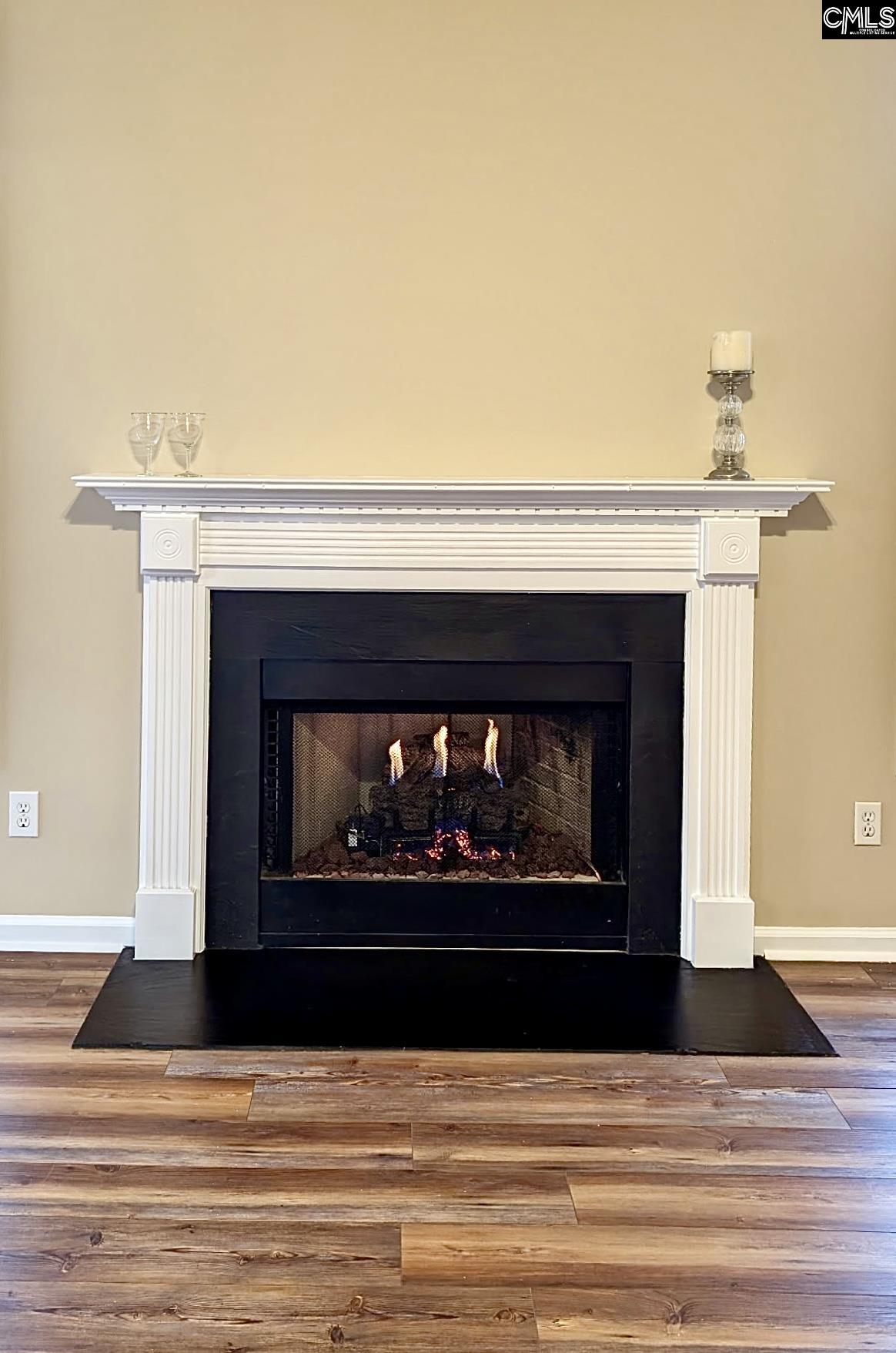 307 Bally Bunion Lane Columbia, SC 29229