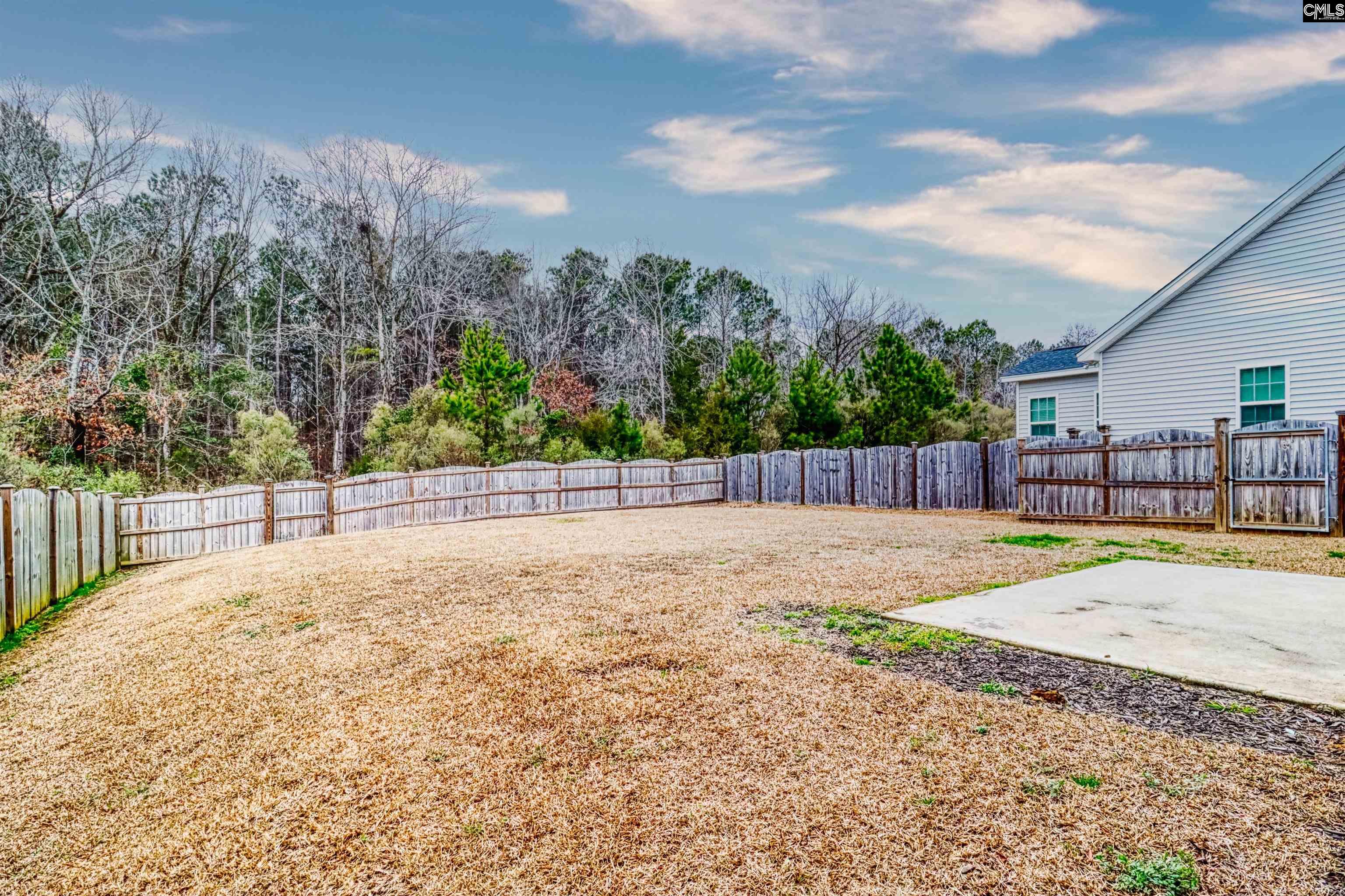 1355 Tamarind Lane Chapin, SC 29036