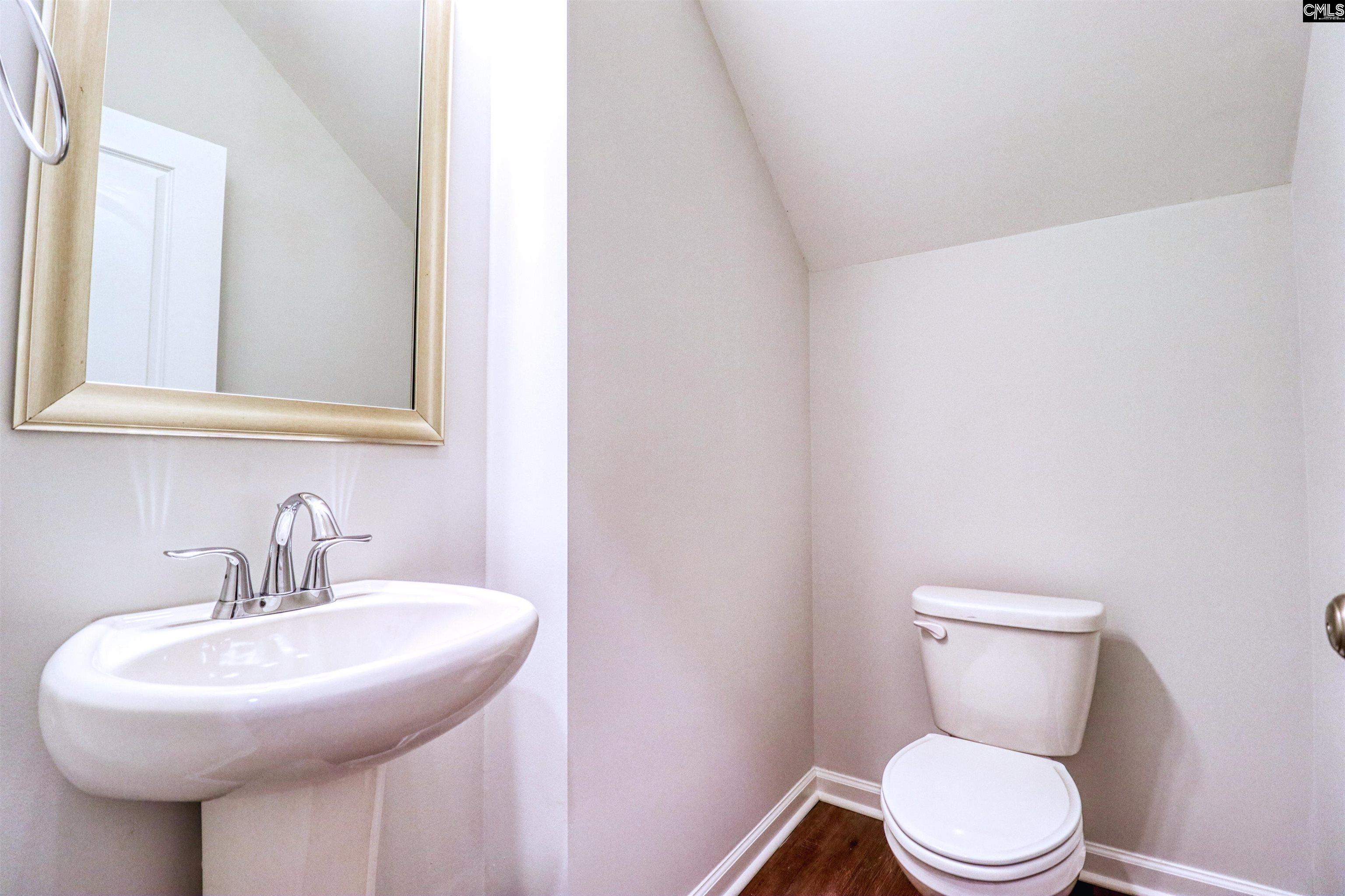 1355 Tamarind Lane Chapin, SC 29036