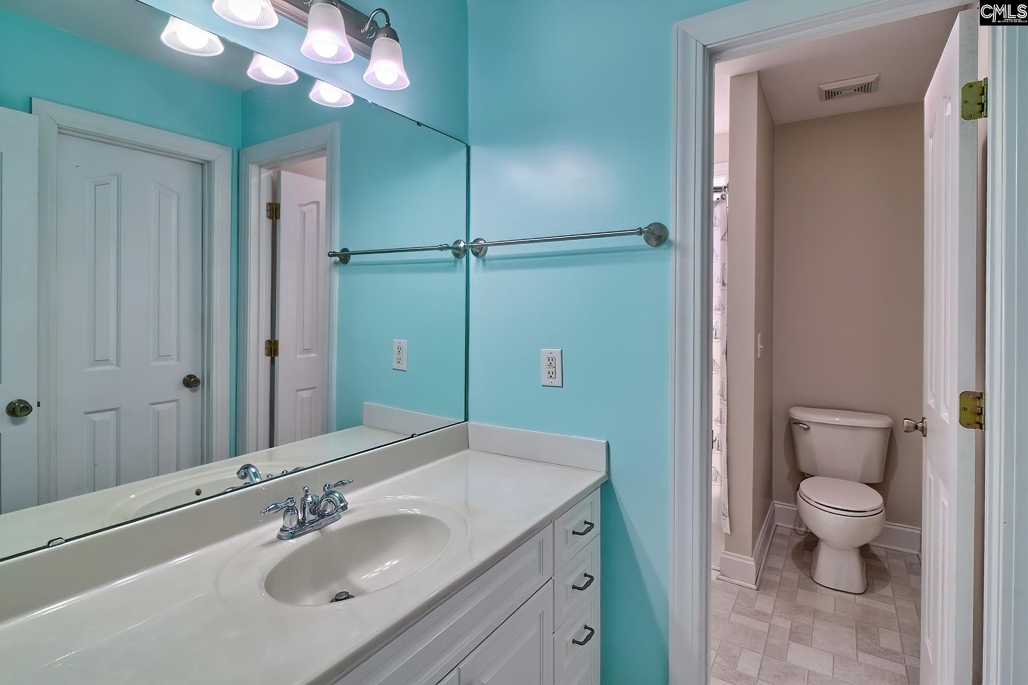 24 Clay Court Chapin, SC 29036